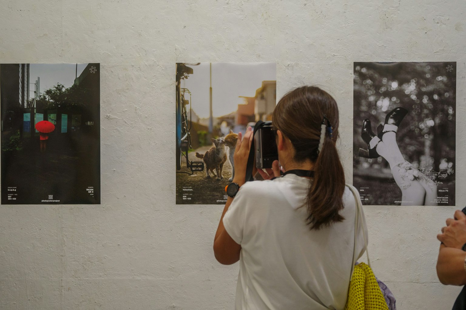 アートギャラリーで写真を撮る女性と展示された写真