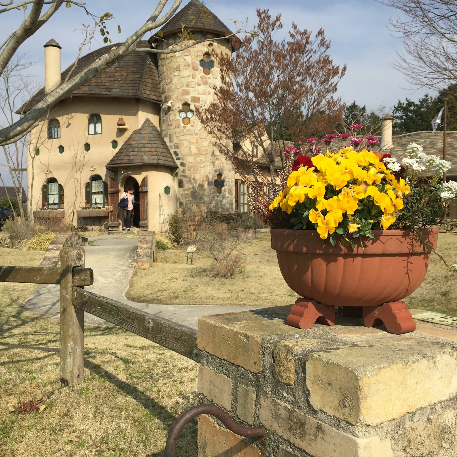 Maison au design unique avec un pot de fleurs au premier plan