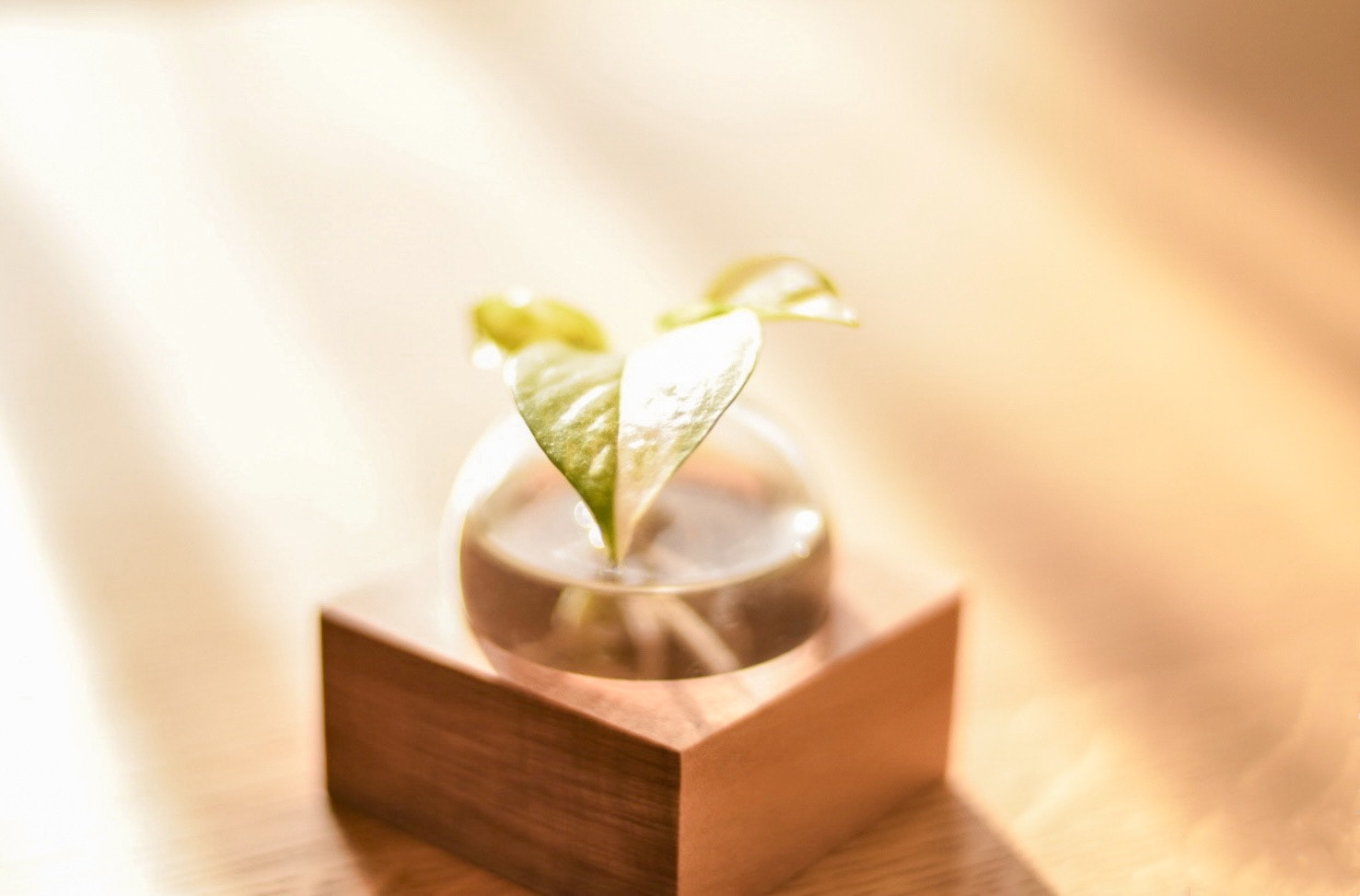 A small wooden incense burner with rising smoke in a quiet indoor setting