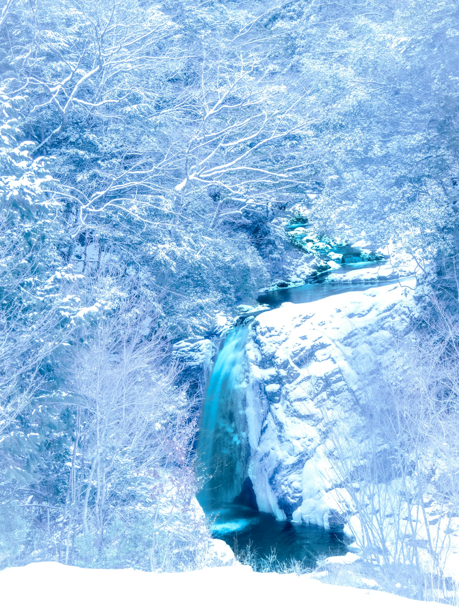 photo-ssCmDcGzhABVZNuHu3RA-image