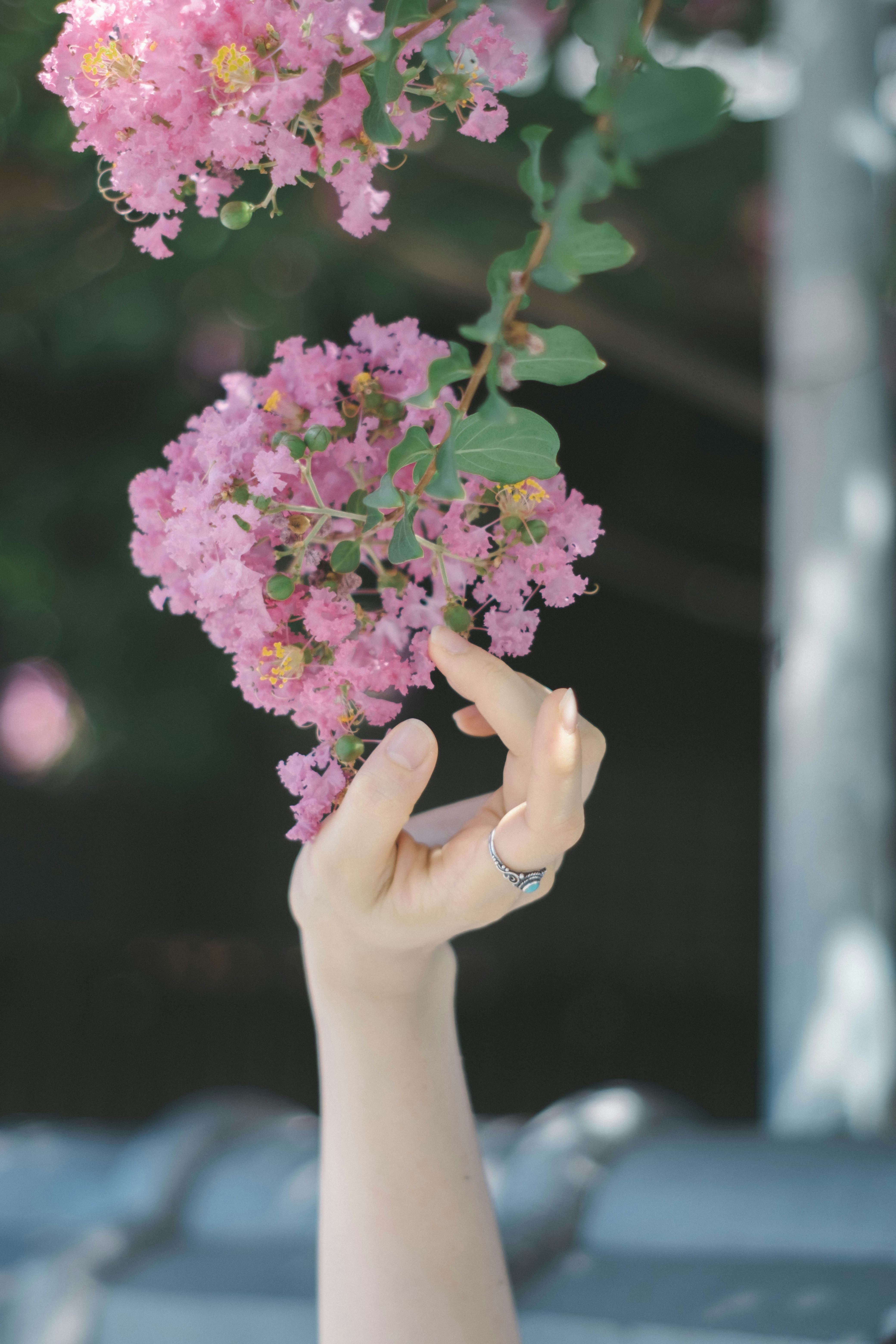 手に持つピンクの花束とボケた背景