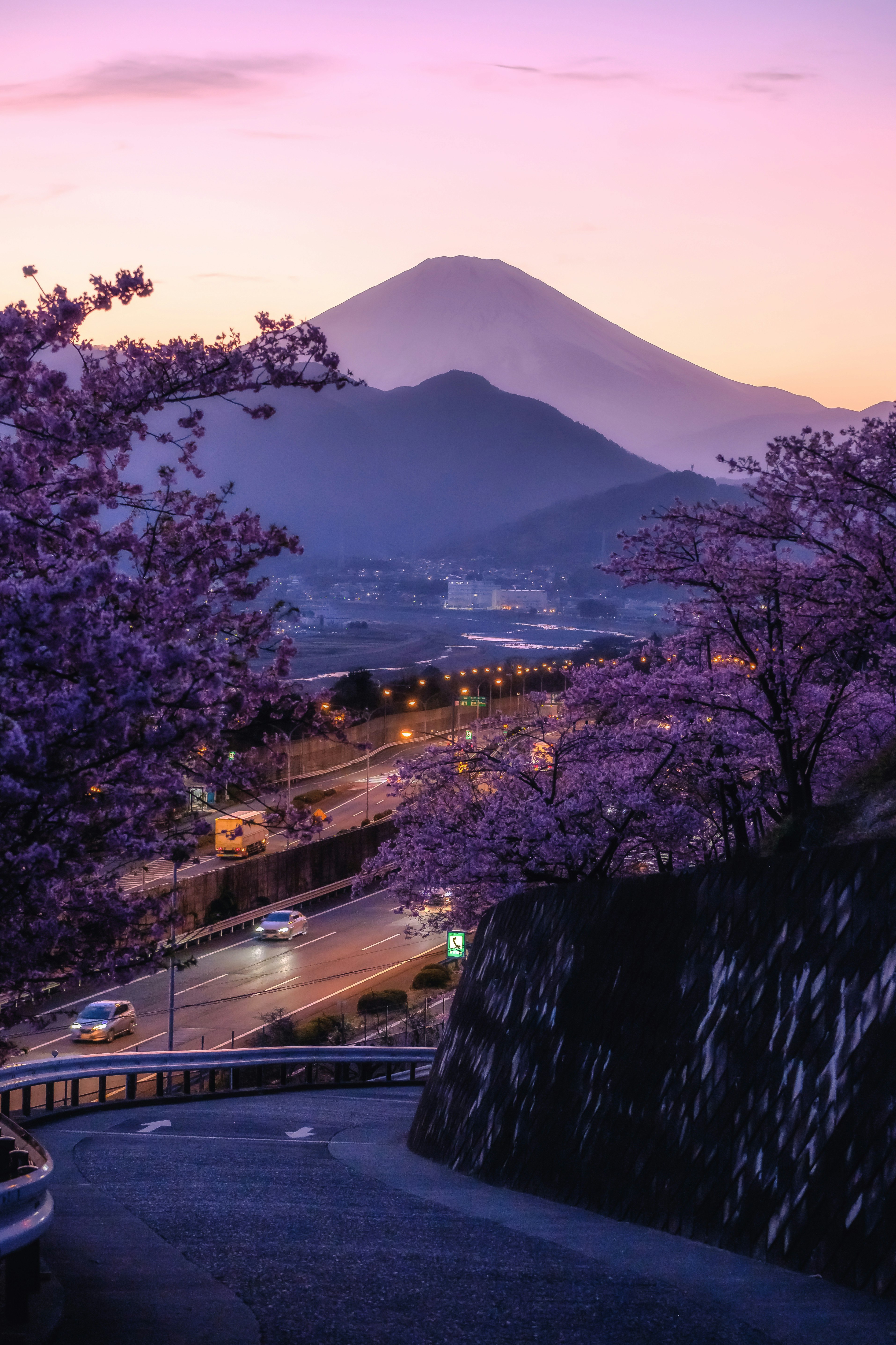 Monte Fuji e fiori di ciliegio Kawazu al tramonto da Matsuda-yama, Kanagawa