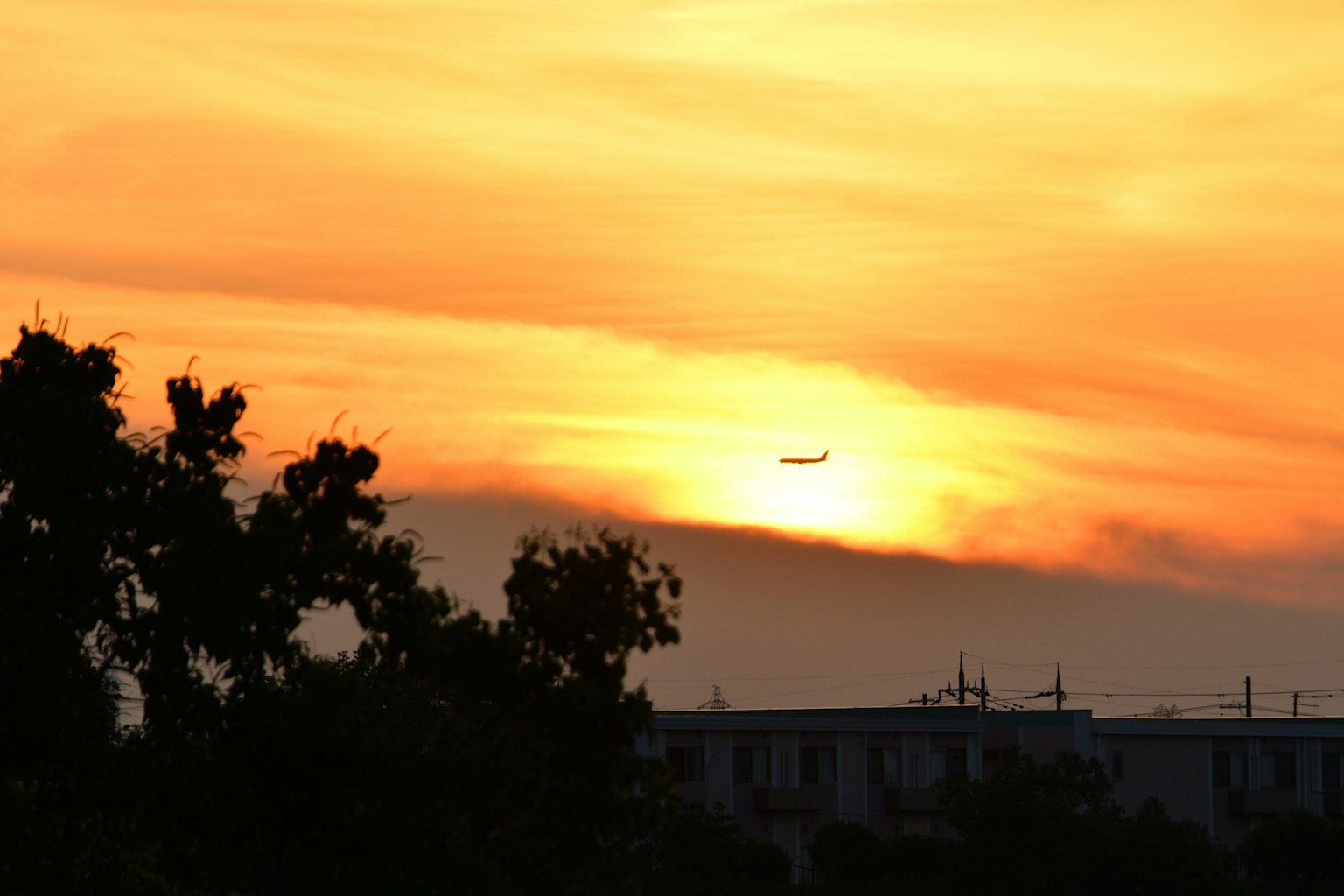 해가 지는 풍경에 하늘을 가로지르는 비행기