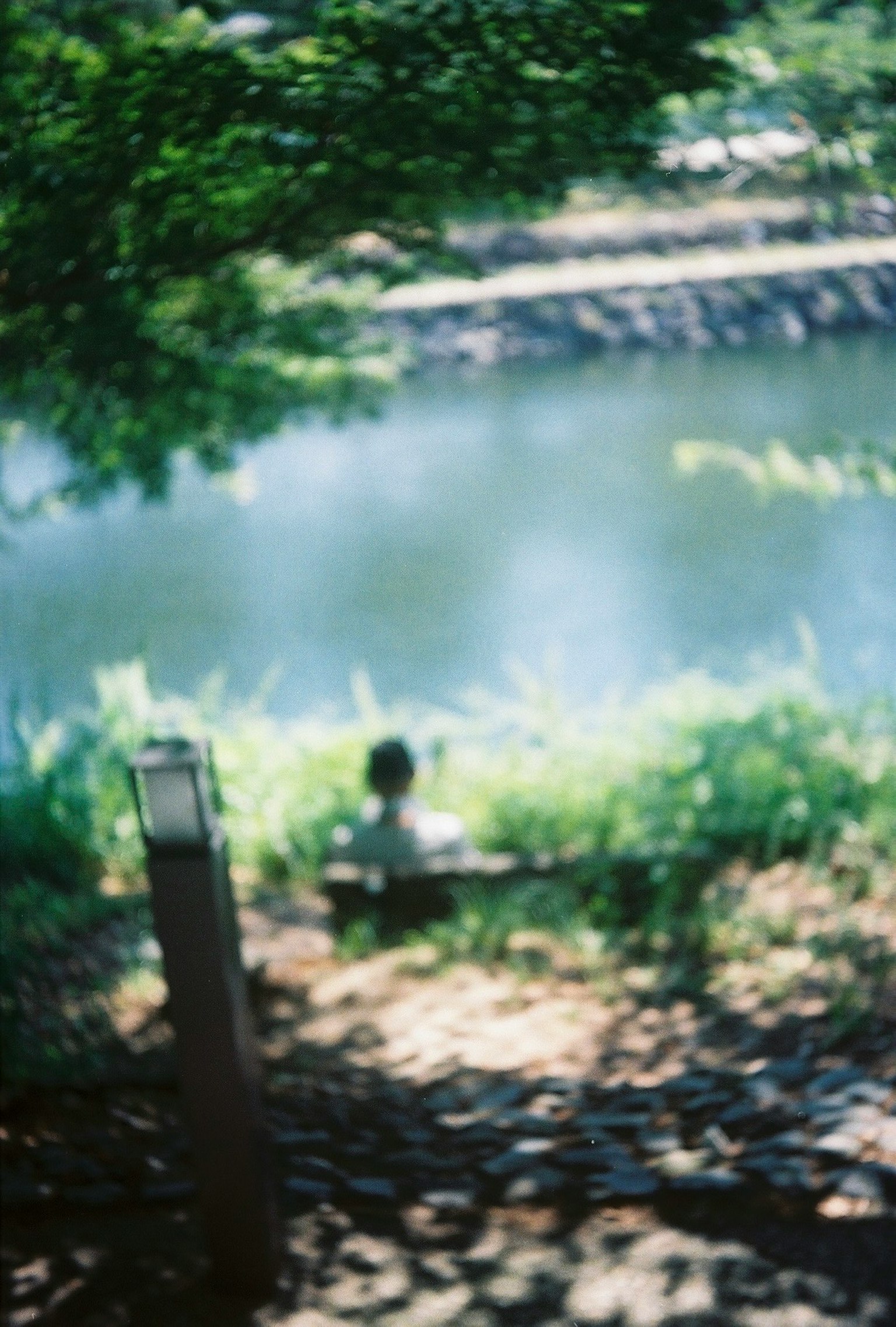Immagine sfocata di una persona che si rilassa vicino al fiume erba verde e alberi visibili