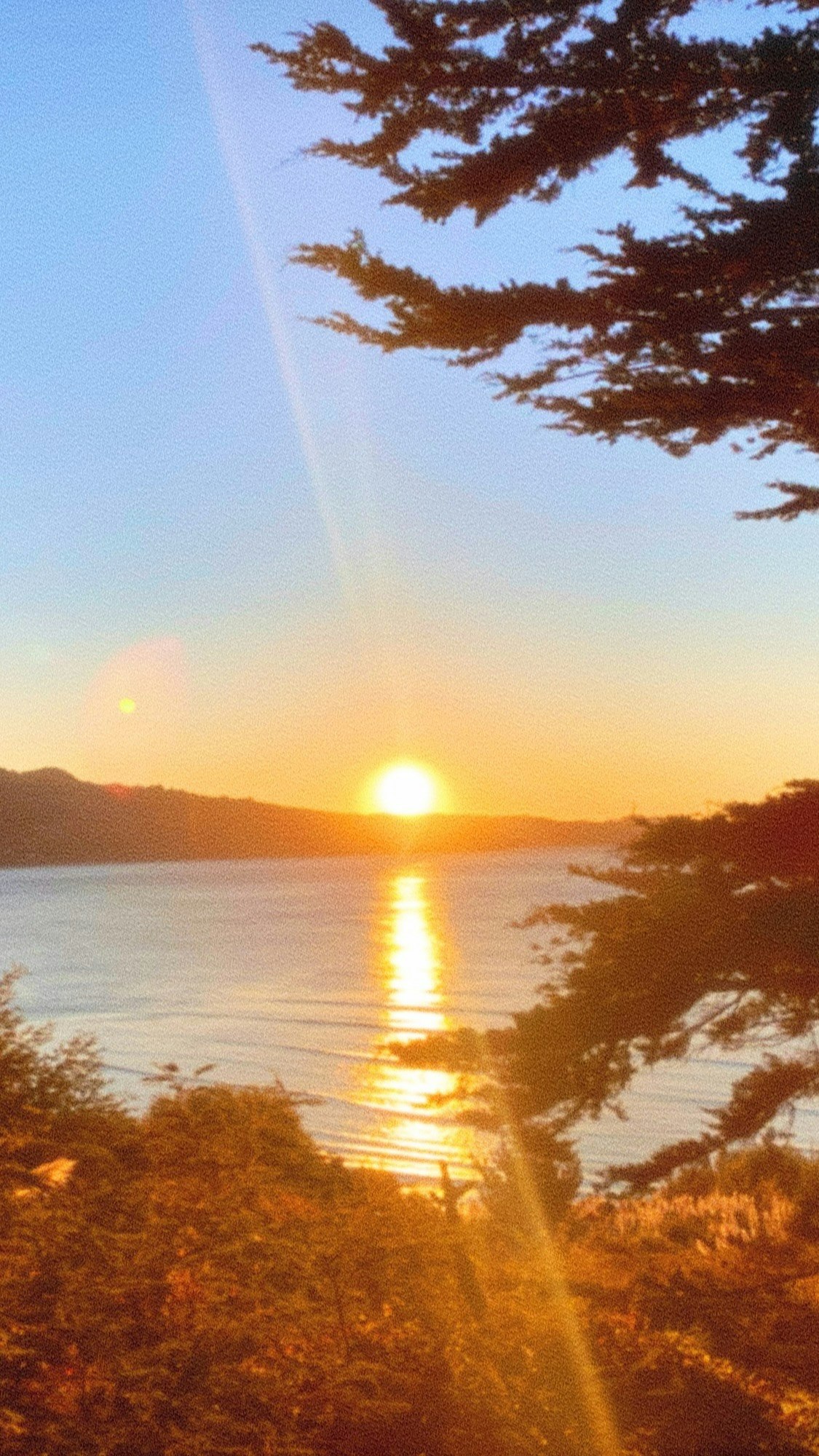 夕日に照らされた湖畔の木々と水面の反射