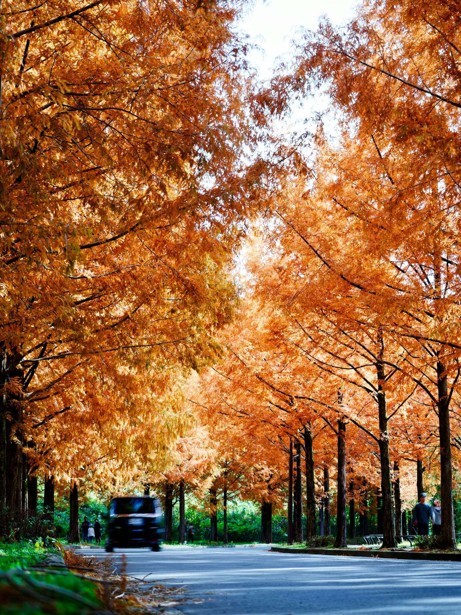 어두운 배경에 단순한 회색 사각형