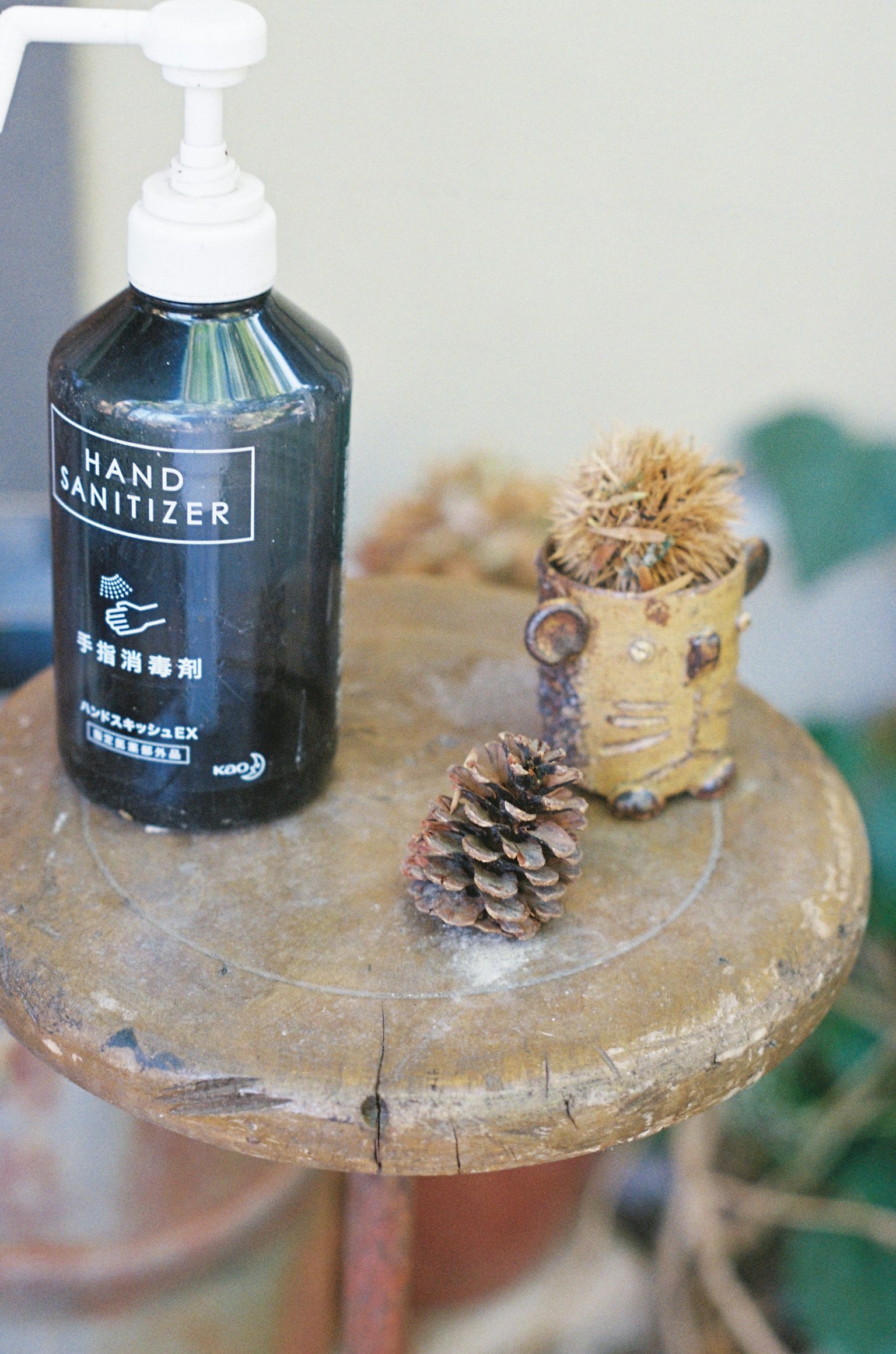 A bottle of hand sanitizer on a wooden table next to a pine cone and a small pot