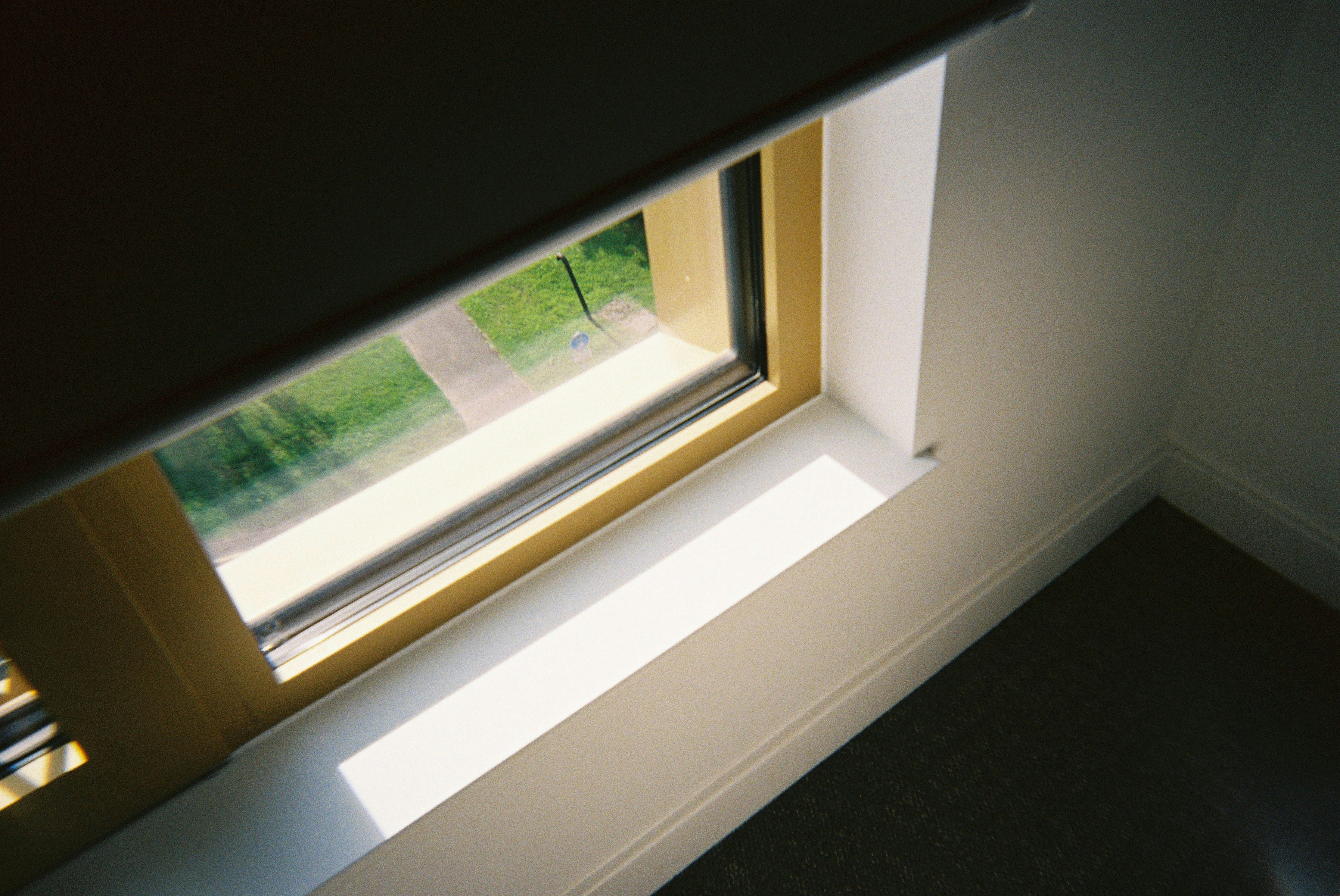 Grüner Blick durch ein Fenster