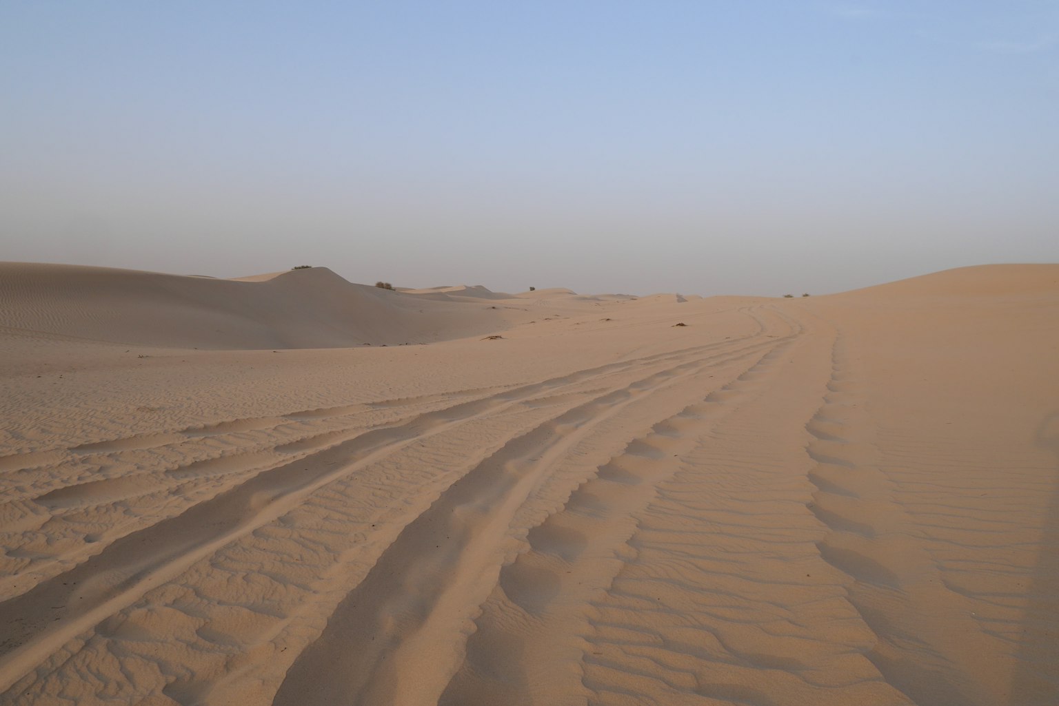 Desert landscape with tire tracks and clear blue sky