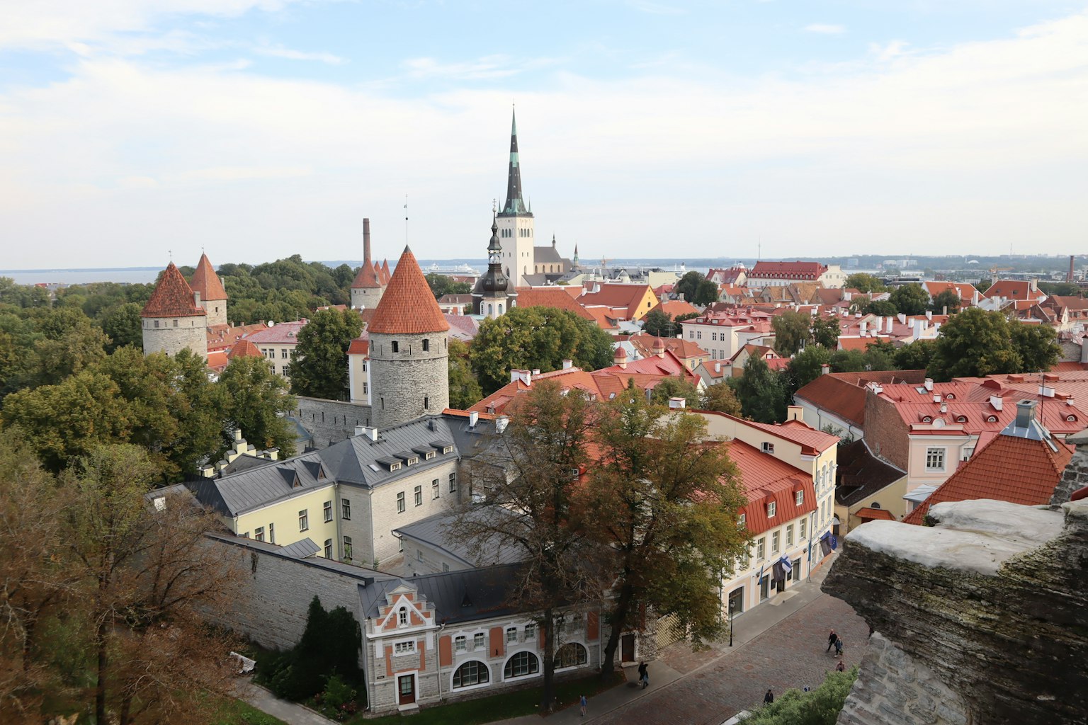 Eine malerische Aussicht auf die Altstadt von Tallinn mit roten Dächern und historischen Türmen