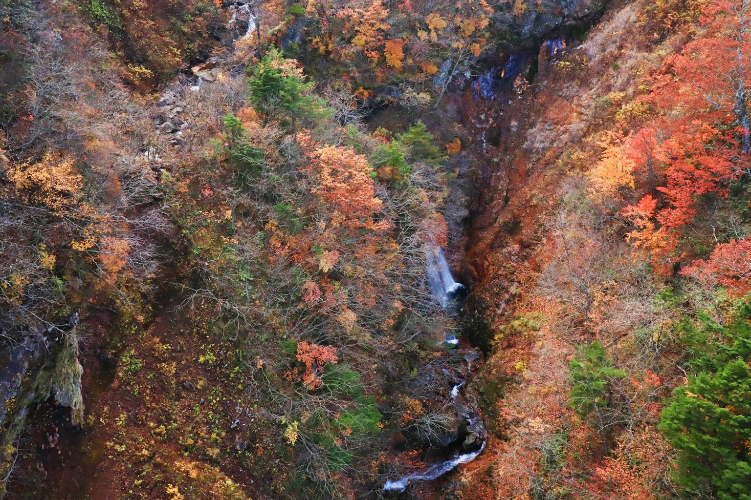 Una vista escénica de un cañón con un follaje otoñal vibrante y una pequeña cascada