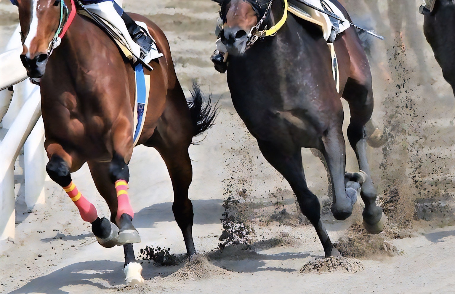 Two horses racing at a racetrack kicking up dirt as they sprint forward