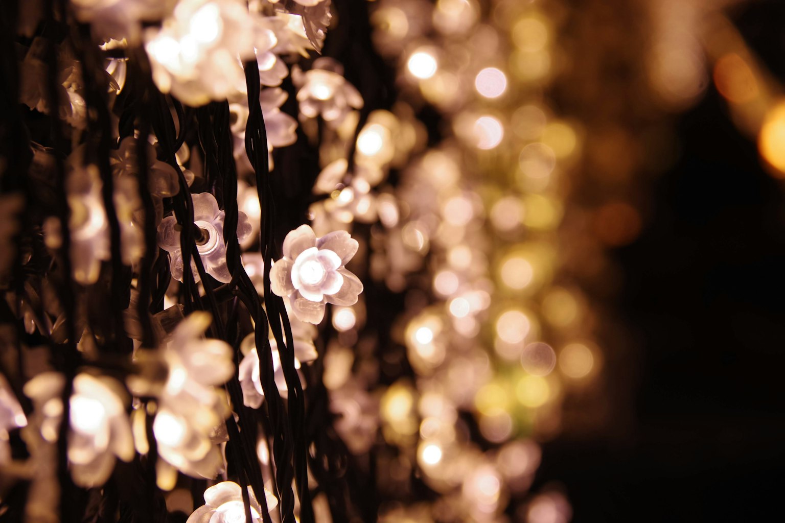Decorative lights shaped like flowers glowing against a dark background