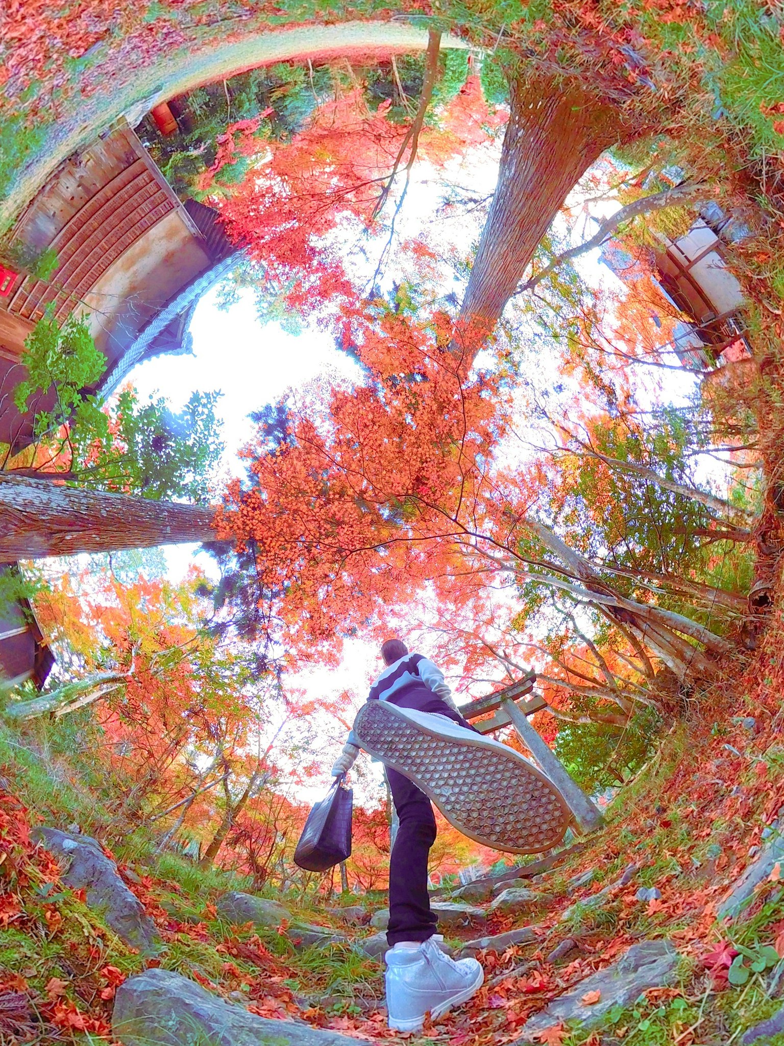 A person walking through vibrant autumn foliage with colorful leaves surrounding them