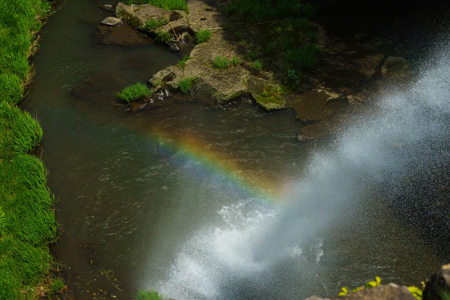 Un arc-en-ciel au-dessus d'une rivière près d'une cascade entourée de verdure luxuriante