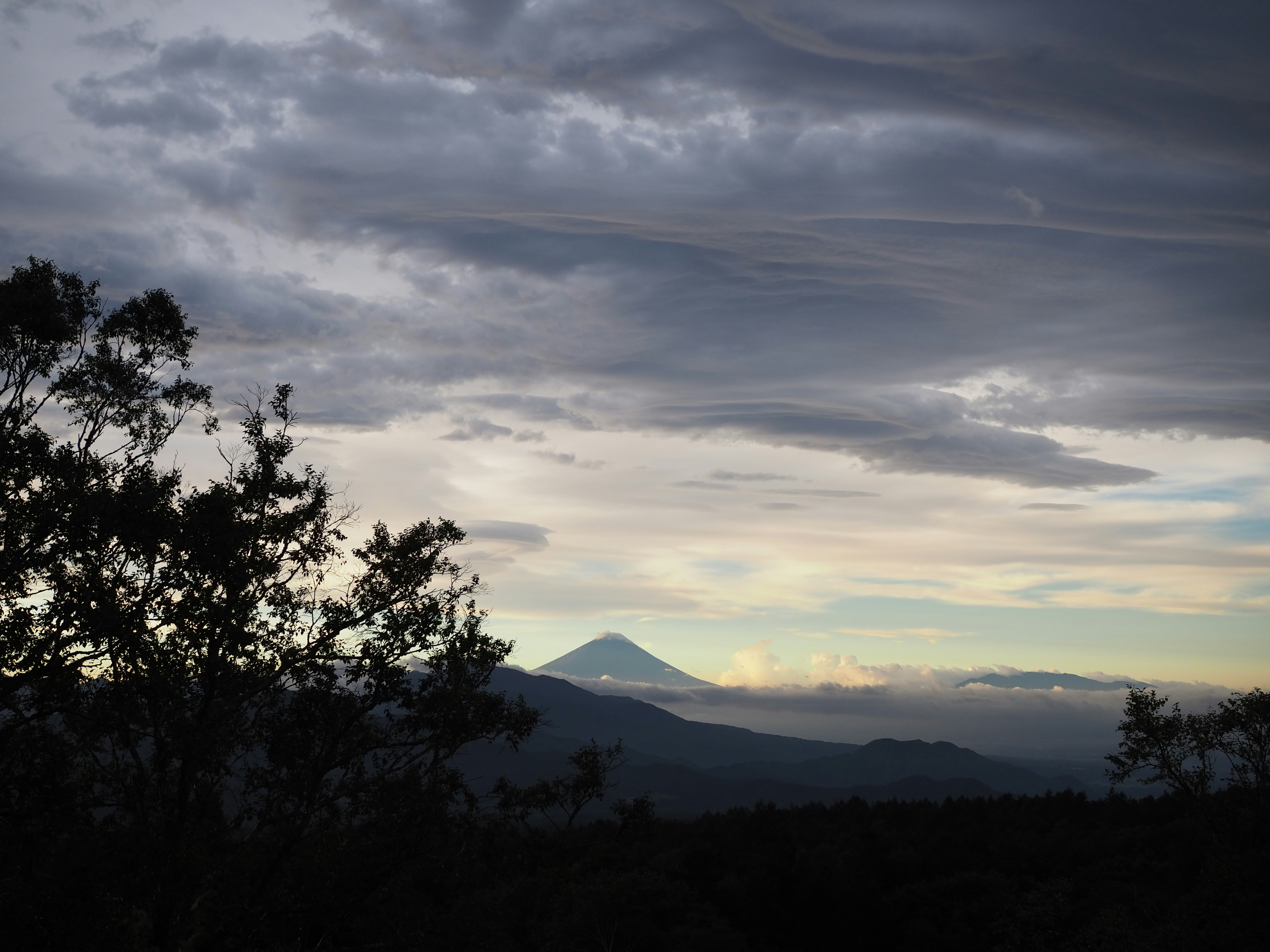 chaîne de montagnes couverte de nuages vue au-delà des silhouettes d’arbres