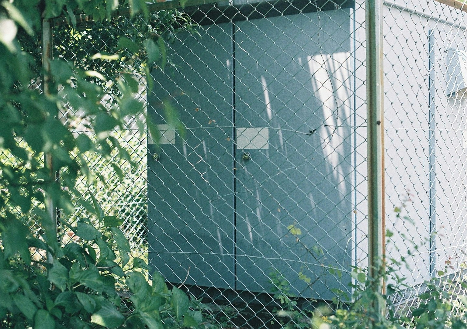 Boîte utilitaire grise entourée de feuillage vert et d'une clôture en treillis