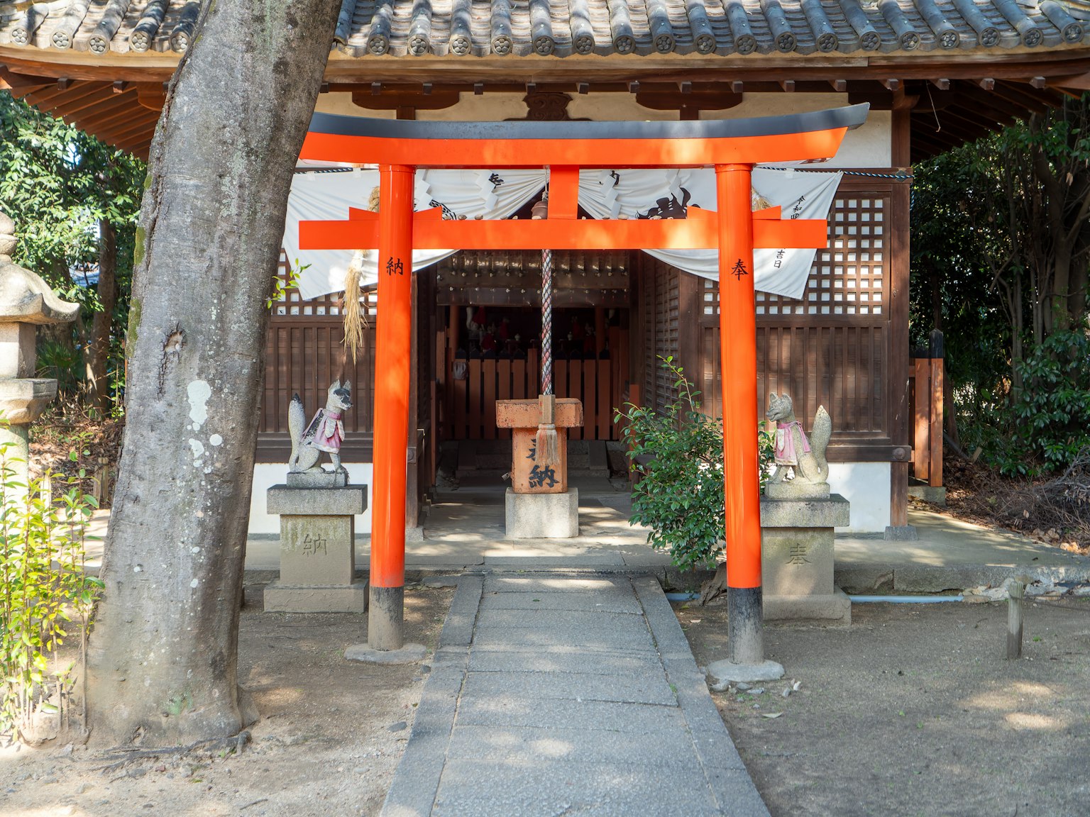 Entrée d'un sanctuaire avec un torii rouge