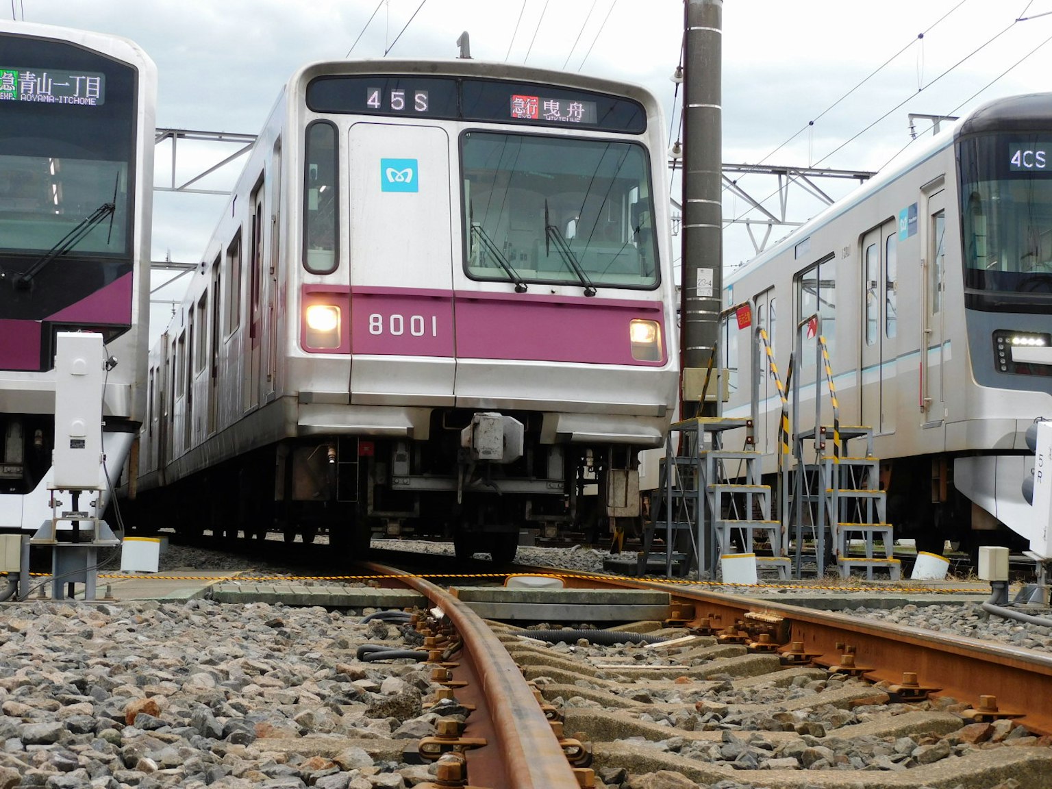 Treno sui binari con un design viola e bianco in un deposito ferroviario