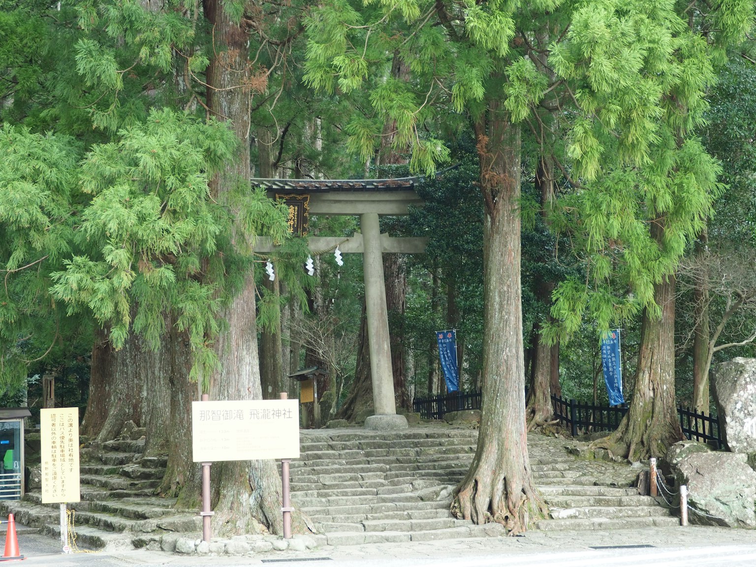 被树木环绕的鸟居和石阶的风景