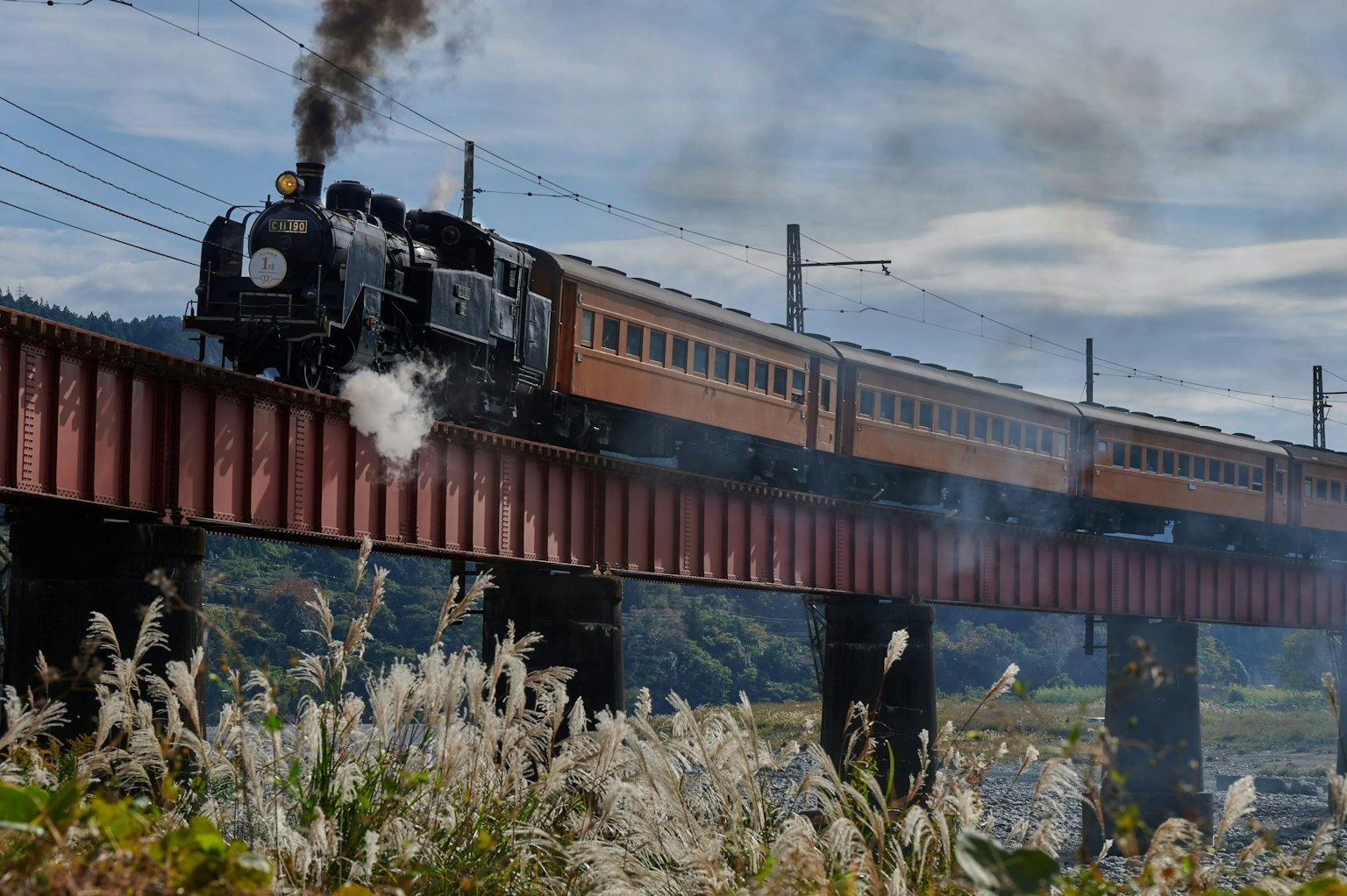 Locomotora de vapor cruzando un puente de hierro con hierbas circundantes
