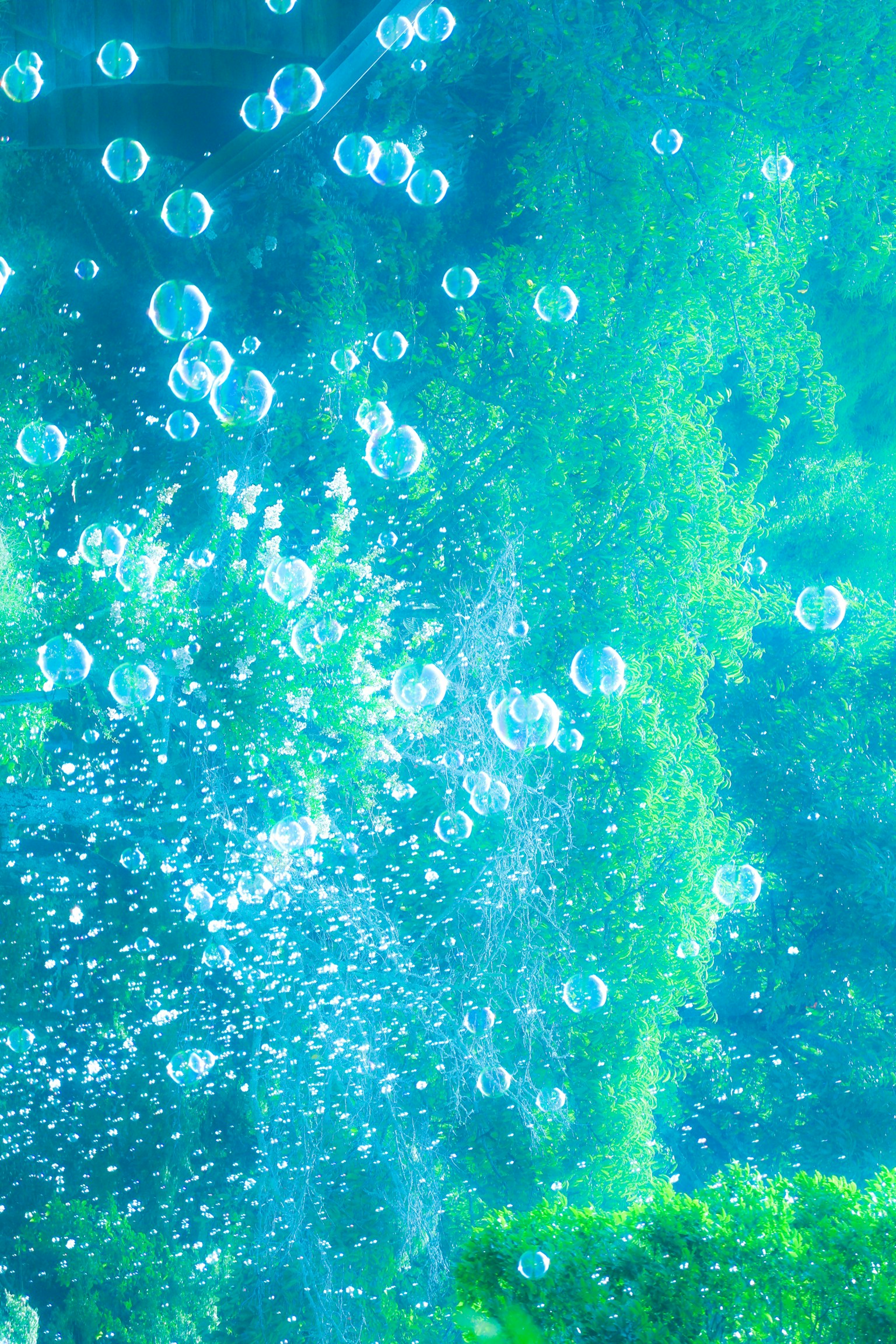 photo-t459KRRGy5wU279FwuL6-image