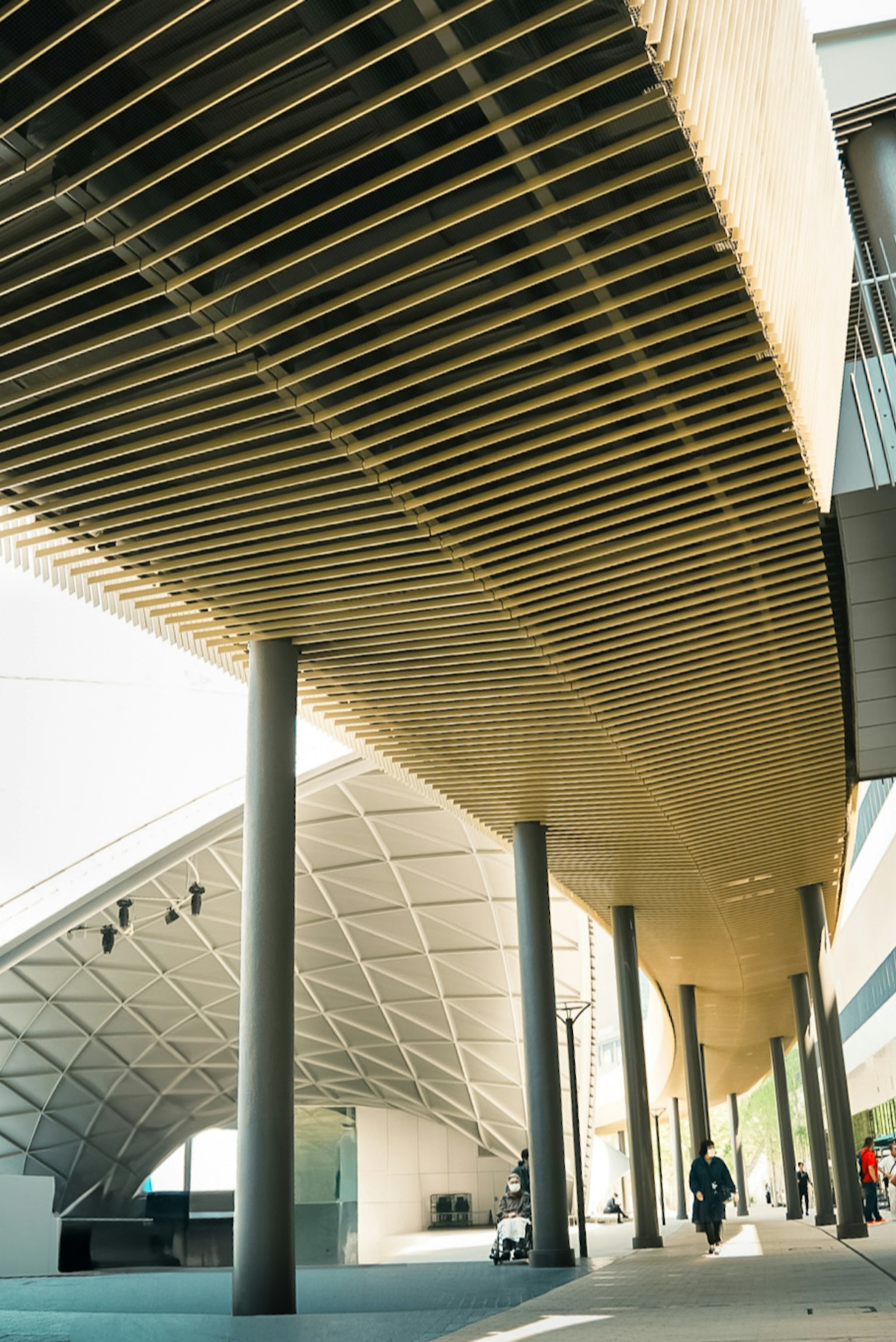 Structure architecturale moderne avec plafond en bois et colonnes