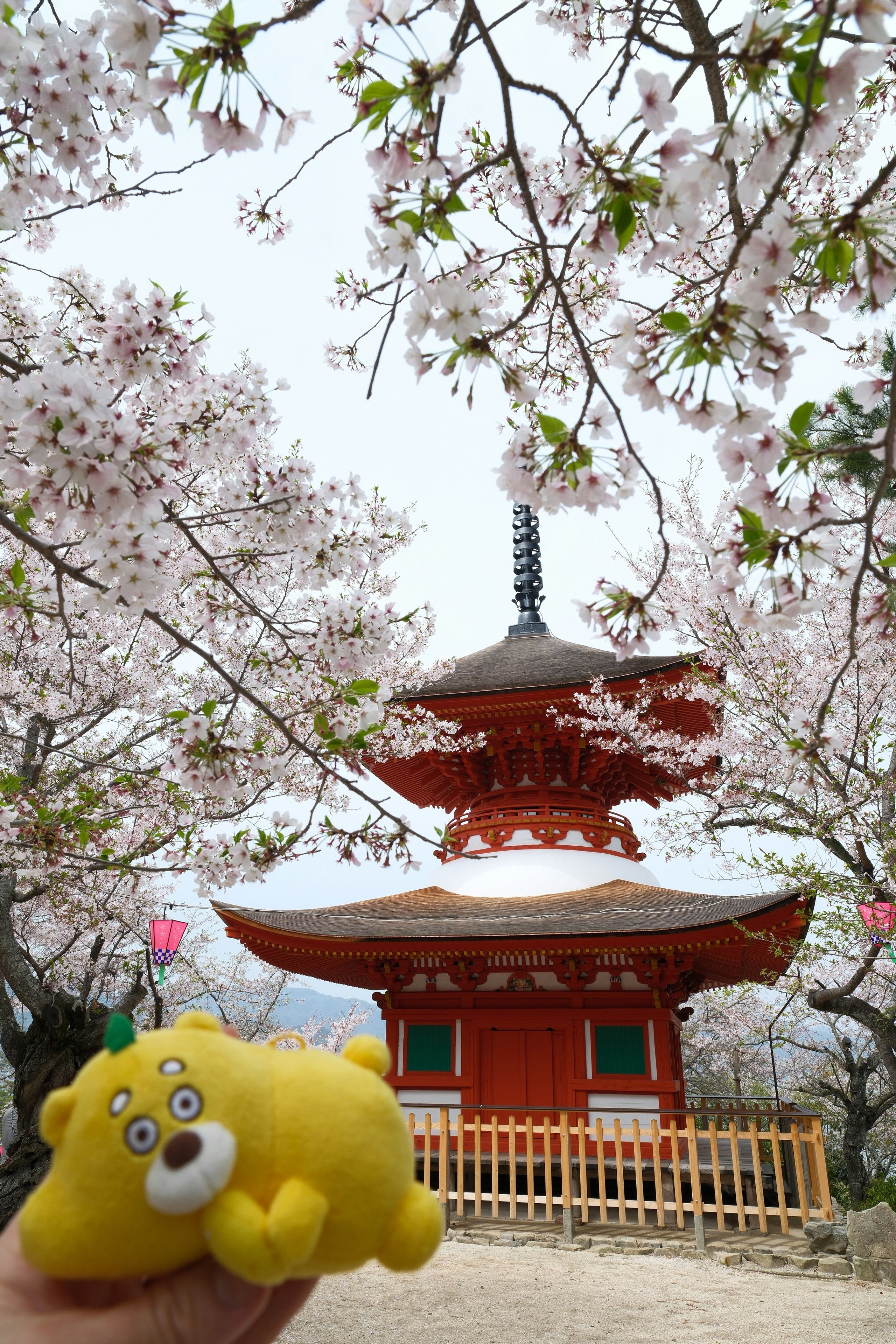 桜の木の下にある厳島神社の朱色の社殿と五重塔の眺め