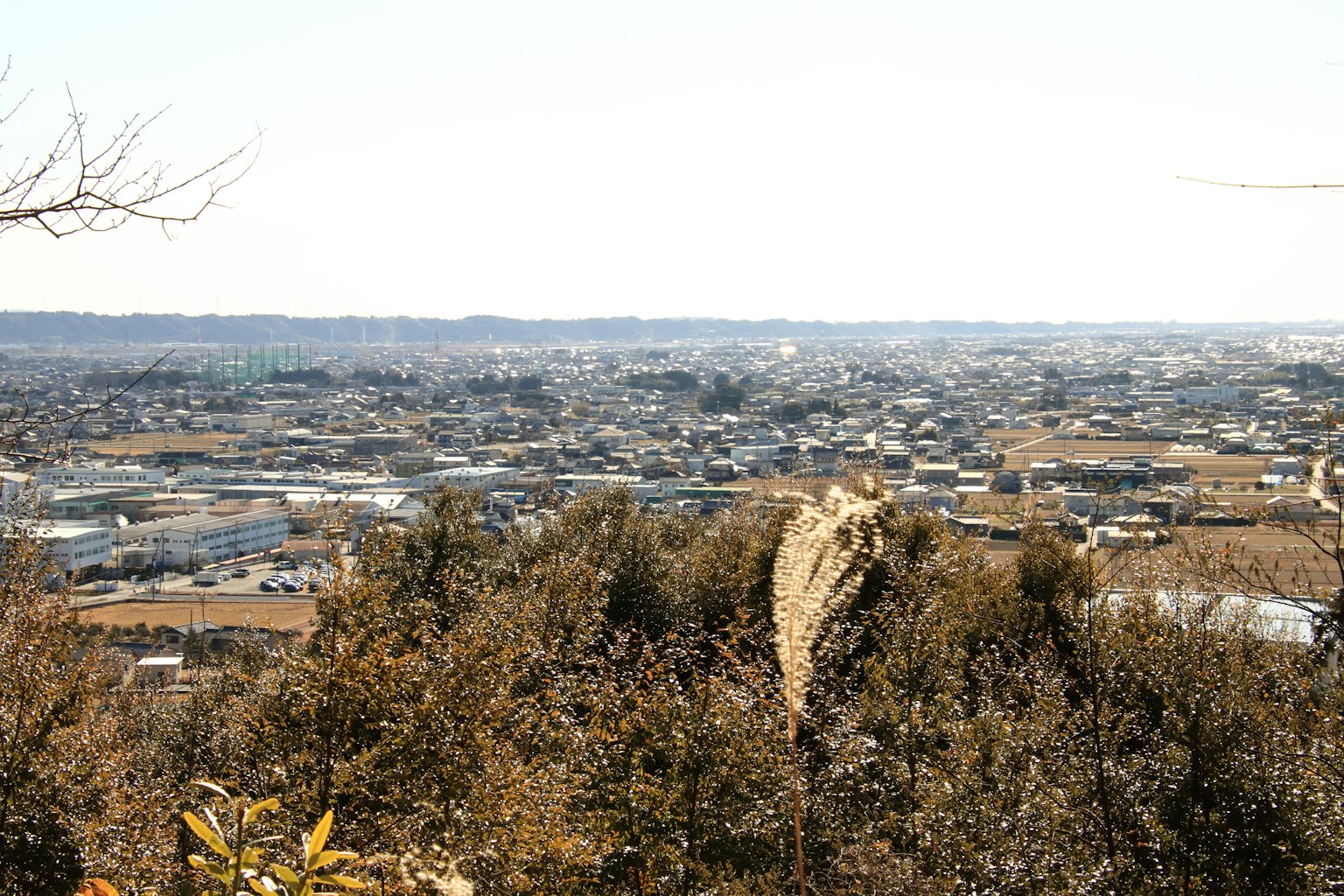 Expansive view of a city landscape with distant mountains