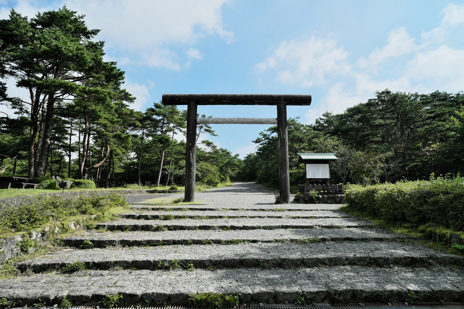 Tangga batu menuju torii yang dikelilingi oleh pepohonan