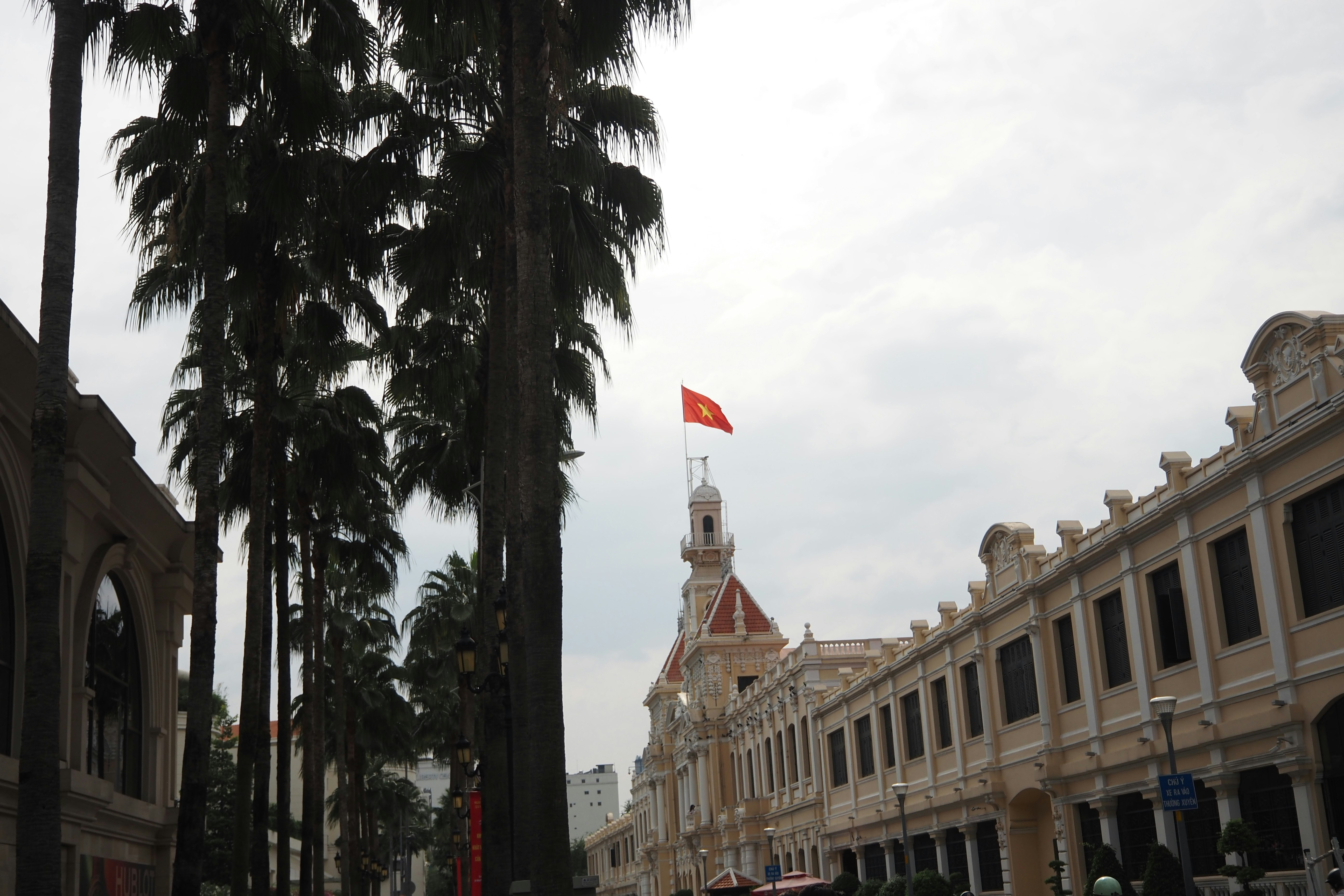 历史建筑与越南国旗和前景的棕榈树