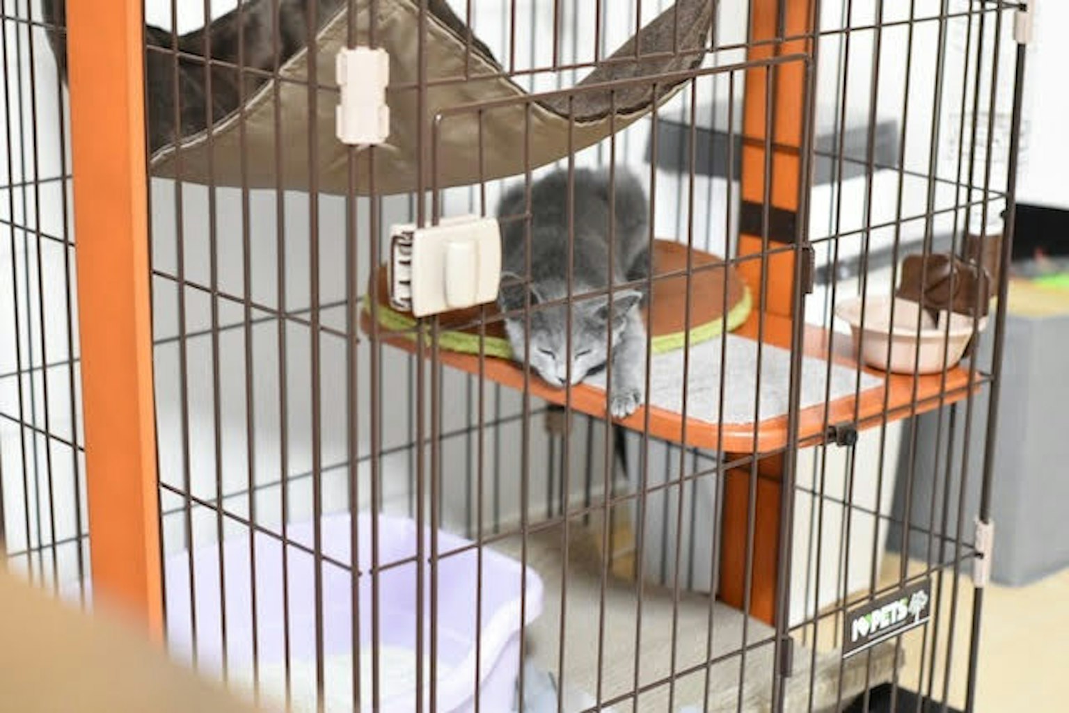 A cat resting on the top of a cat cage with a cozy setup