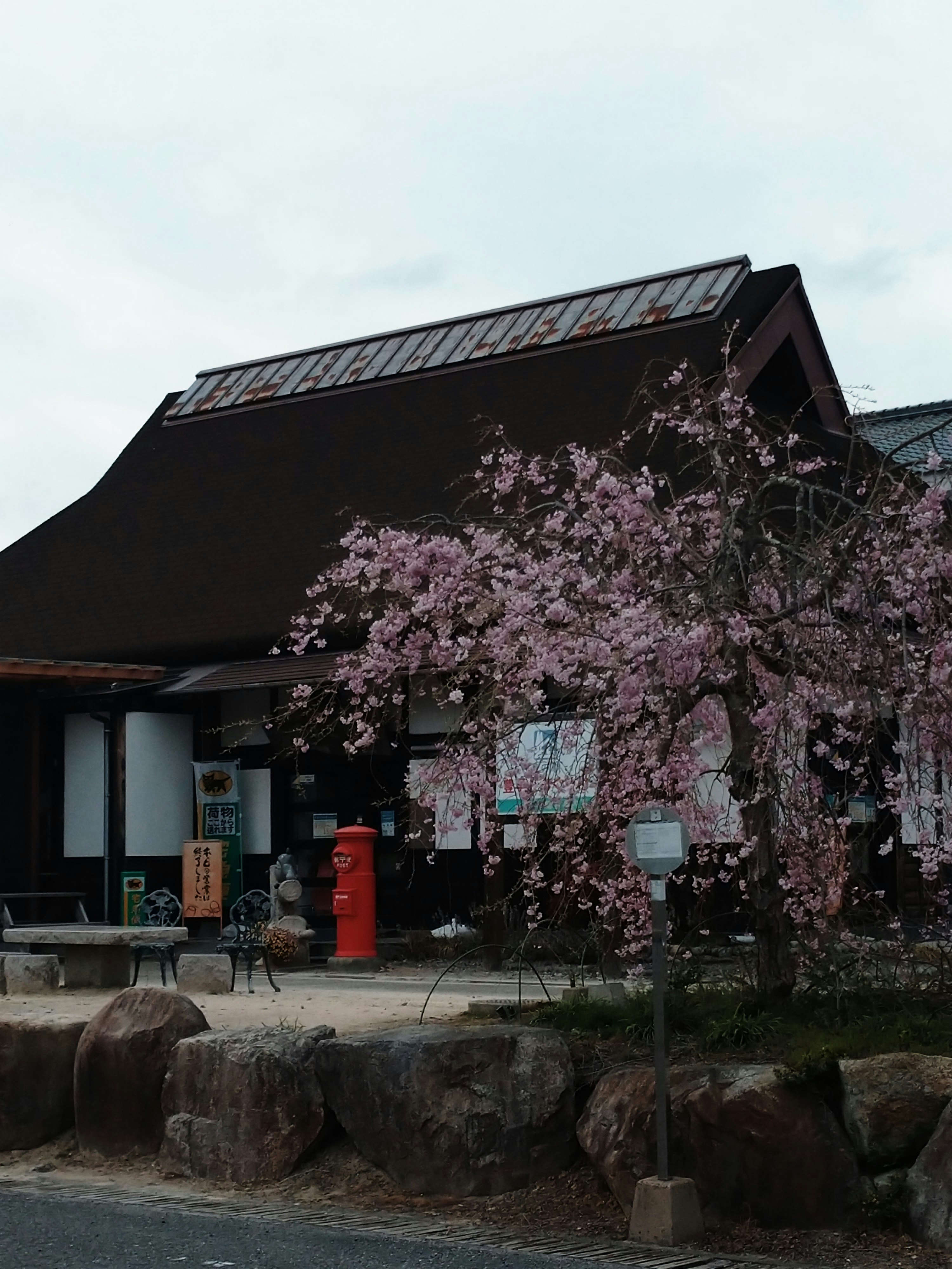 桜の木がある伝統的な日本の建物の外観