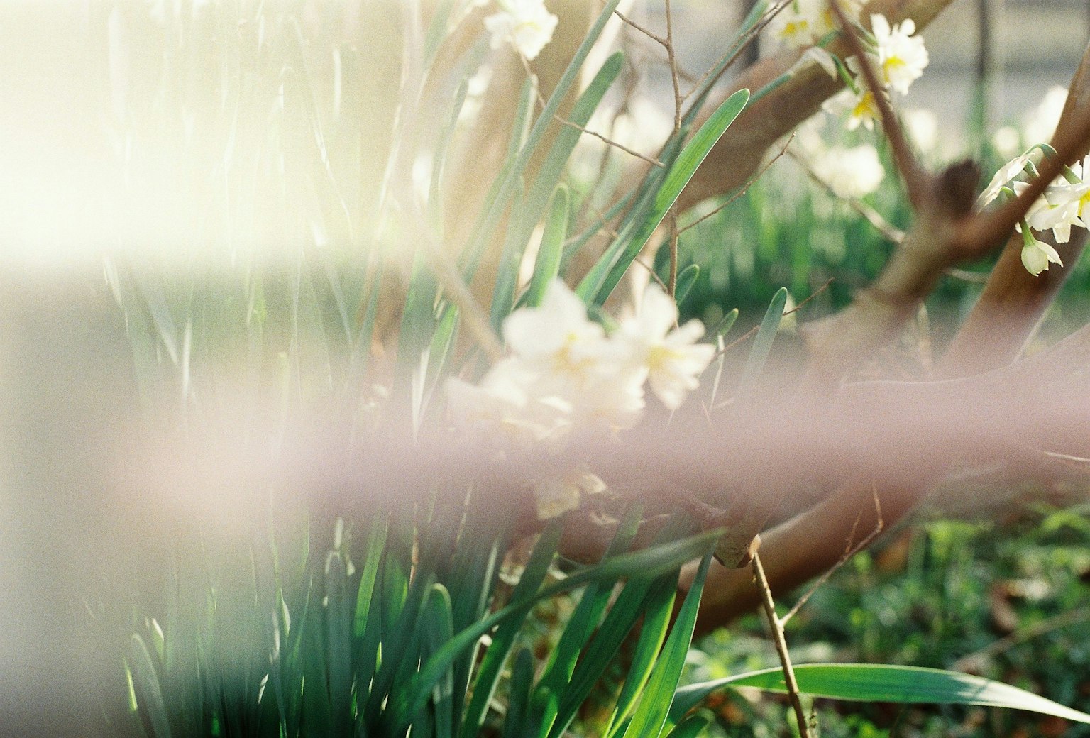 photo-t7Dpj82lxKSv41DeA5ew-image