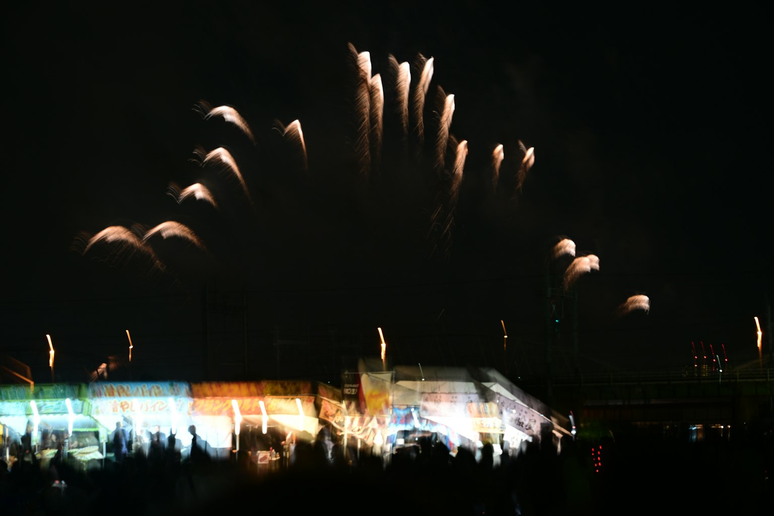 Fireworks lighting up the night sky with a crowd watching