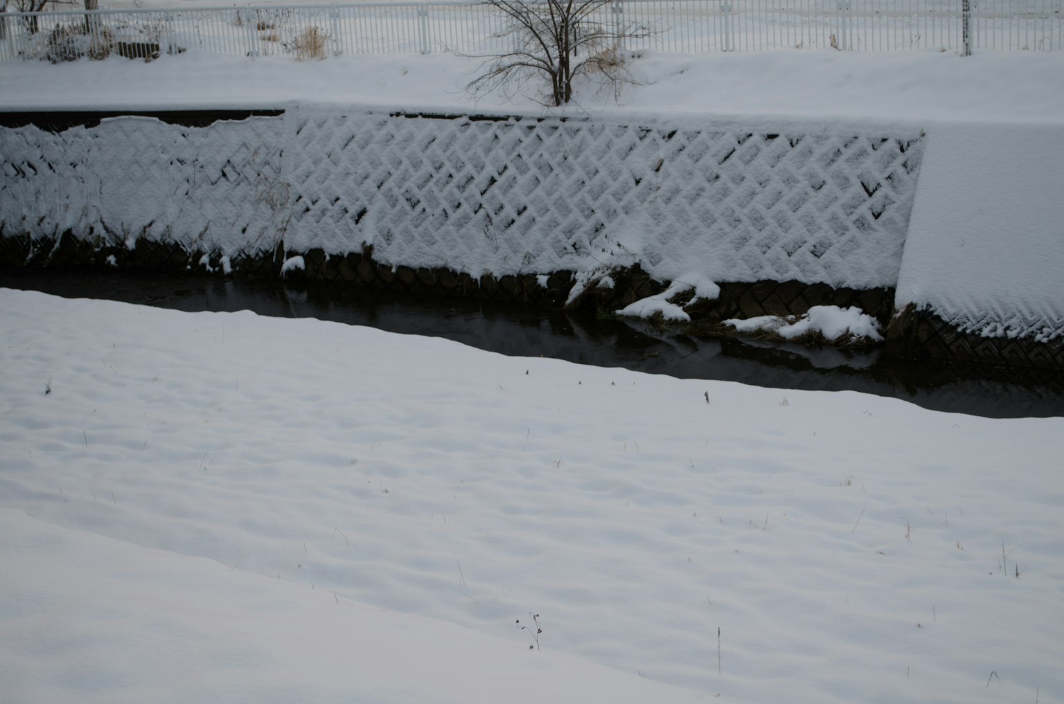 被雪覆盖的河岸和流动的小溪