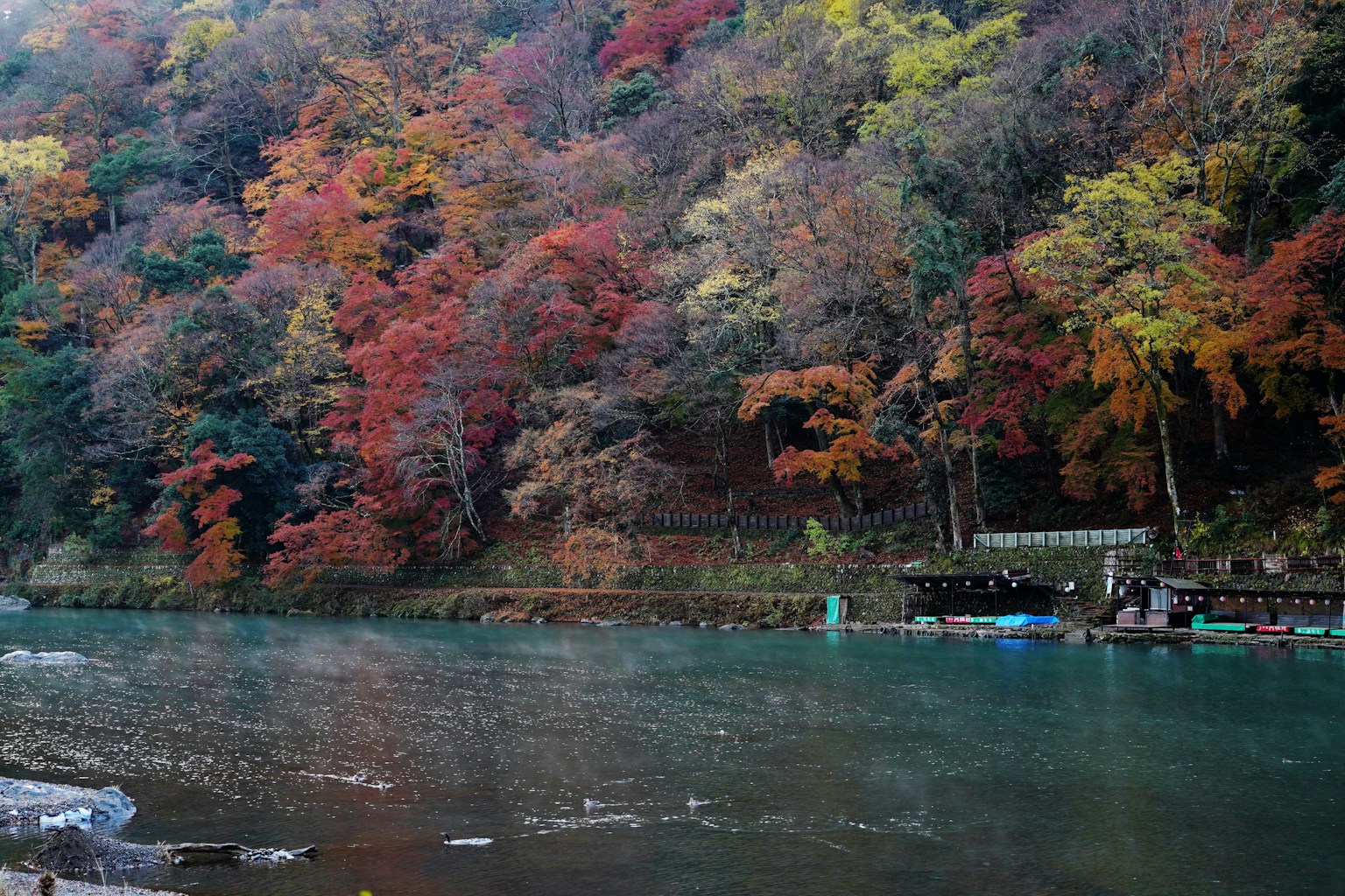 Scenic river view with vibrant autumn foliage
