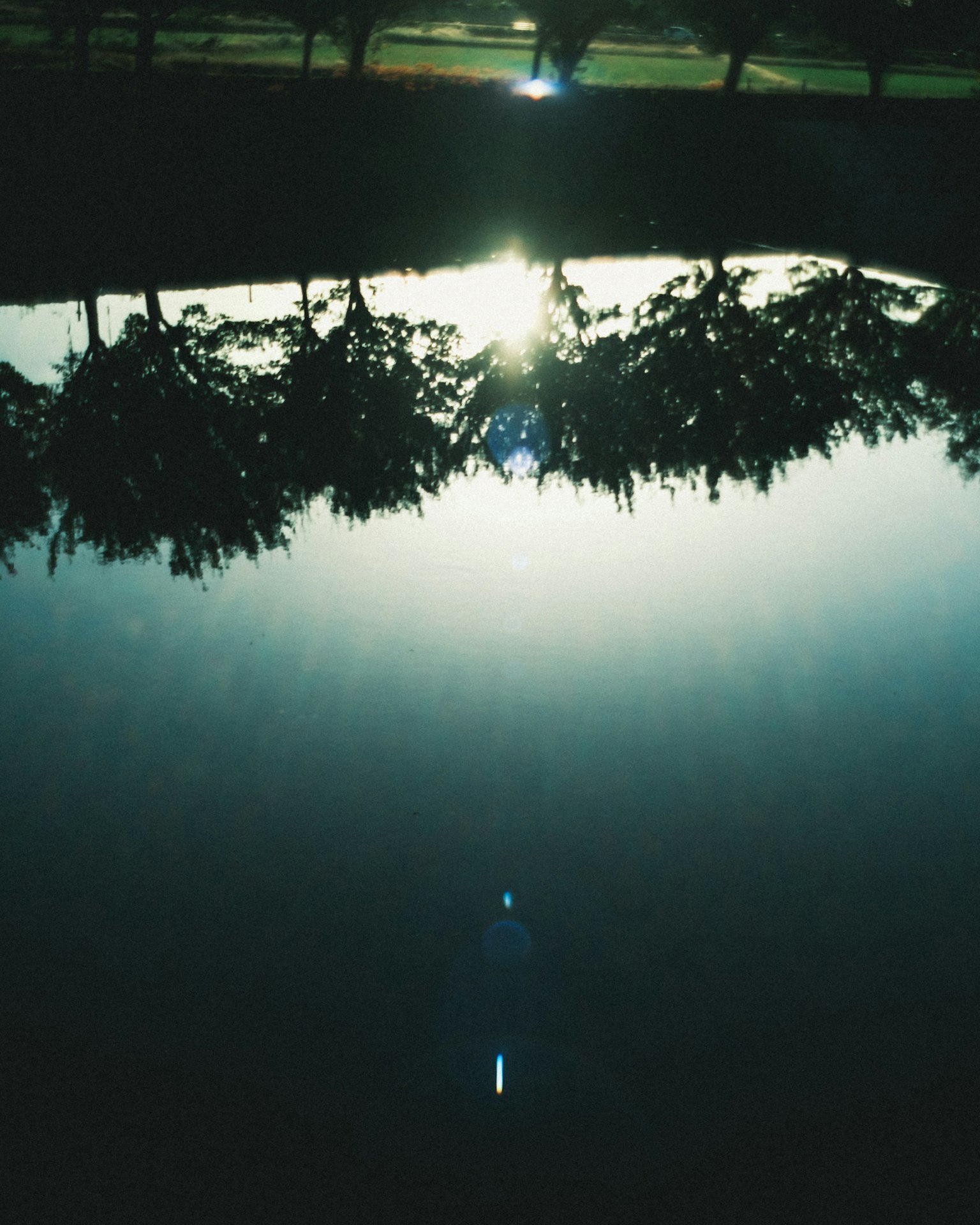 水面に映る木々と光の反射が美しい風景