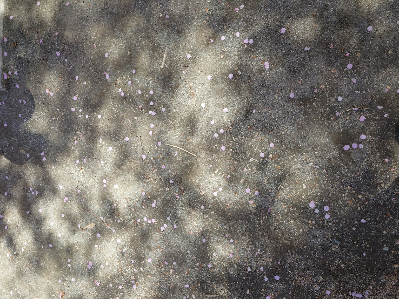 Image featuring scattered small purple dots on a textured background