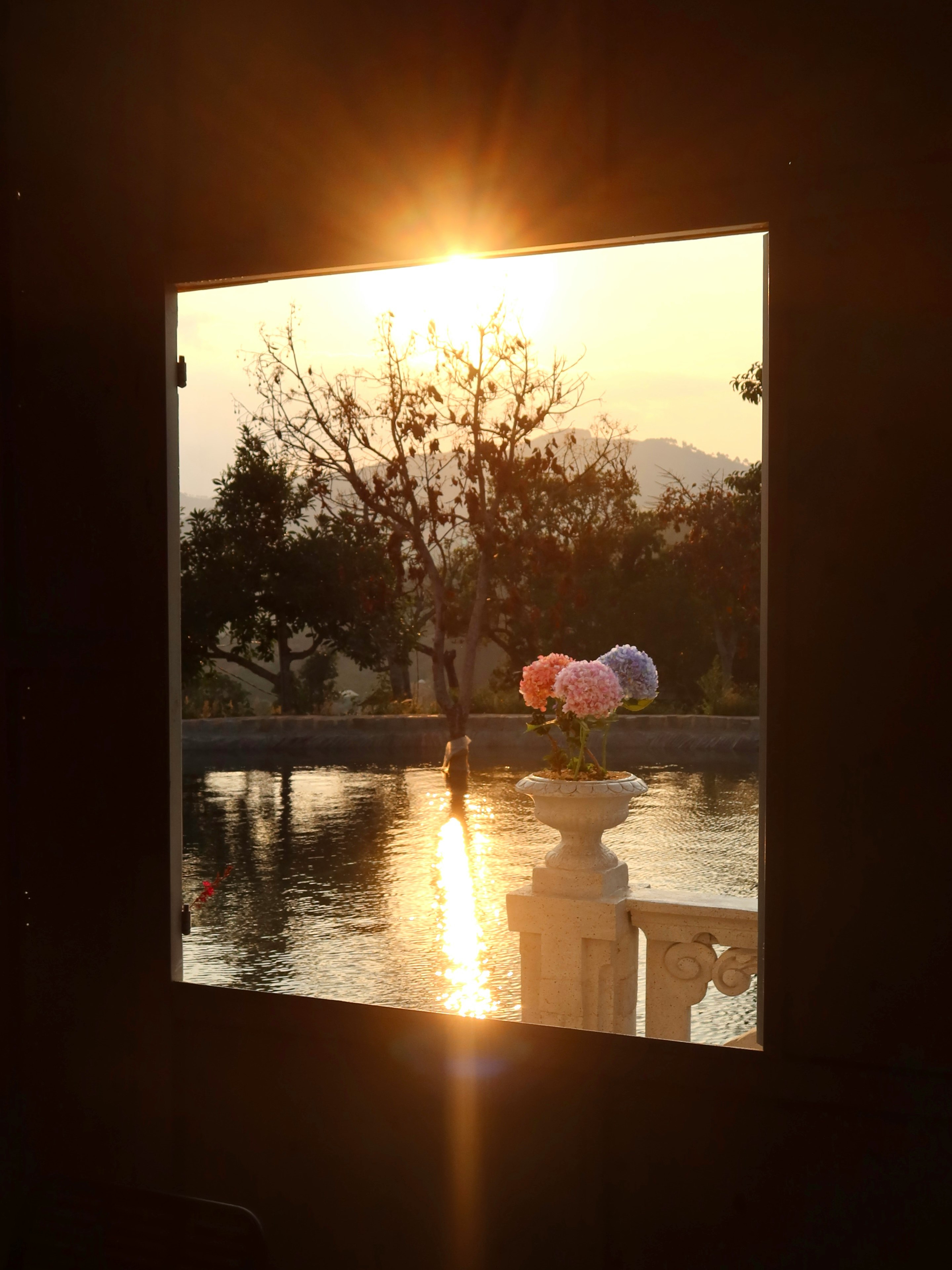 窓の外に広がる夕暮れの水辺と花瓶の花