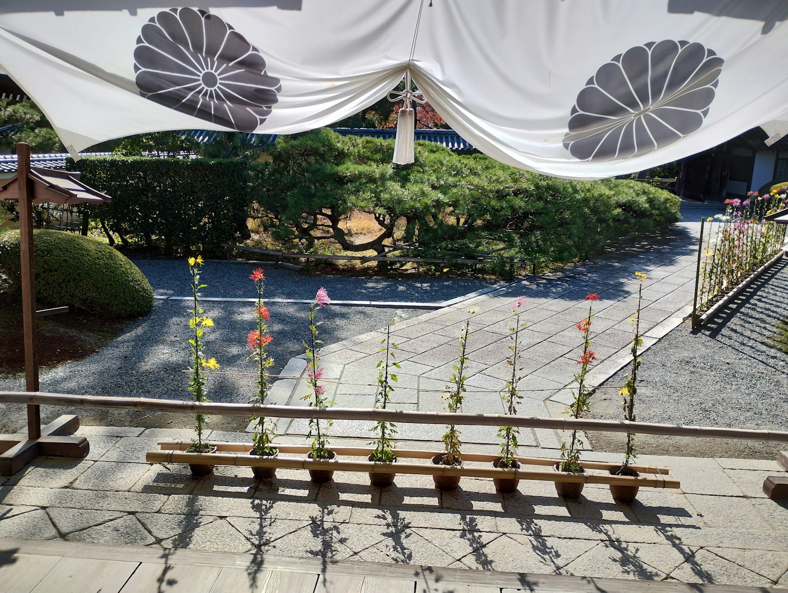 美麗的日本庭園場景，木製長椅上排著花朵，綠意盎然的背景