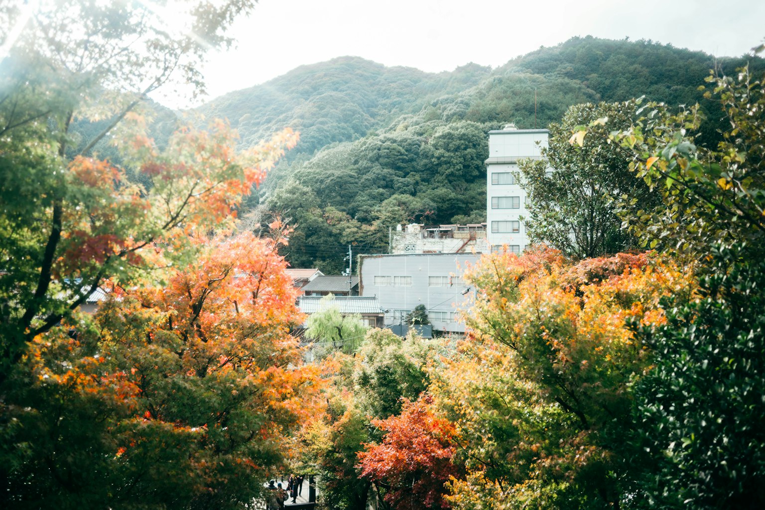 Hermoso paisaje otoñal con árboles coloridos y montañas al fondo