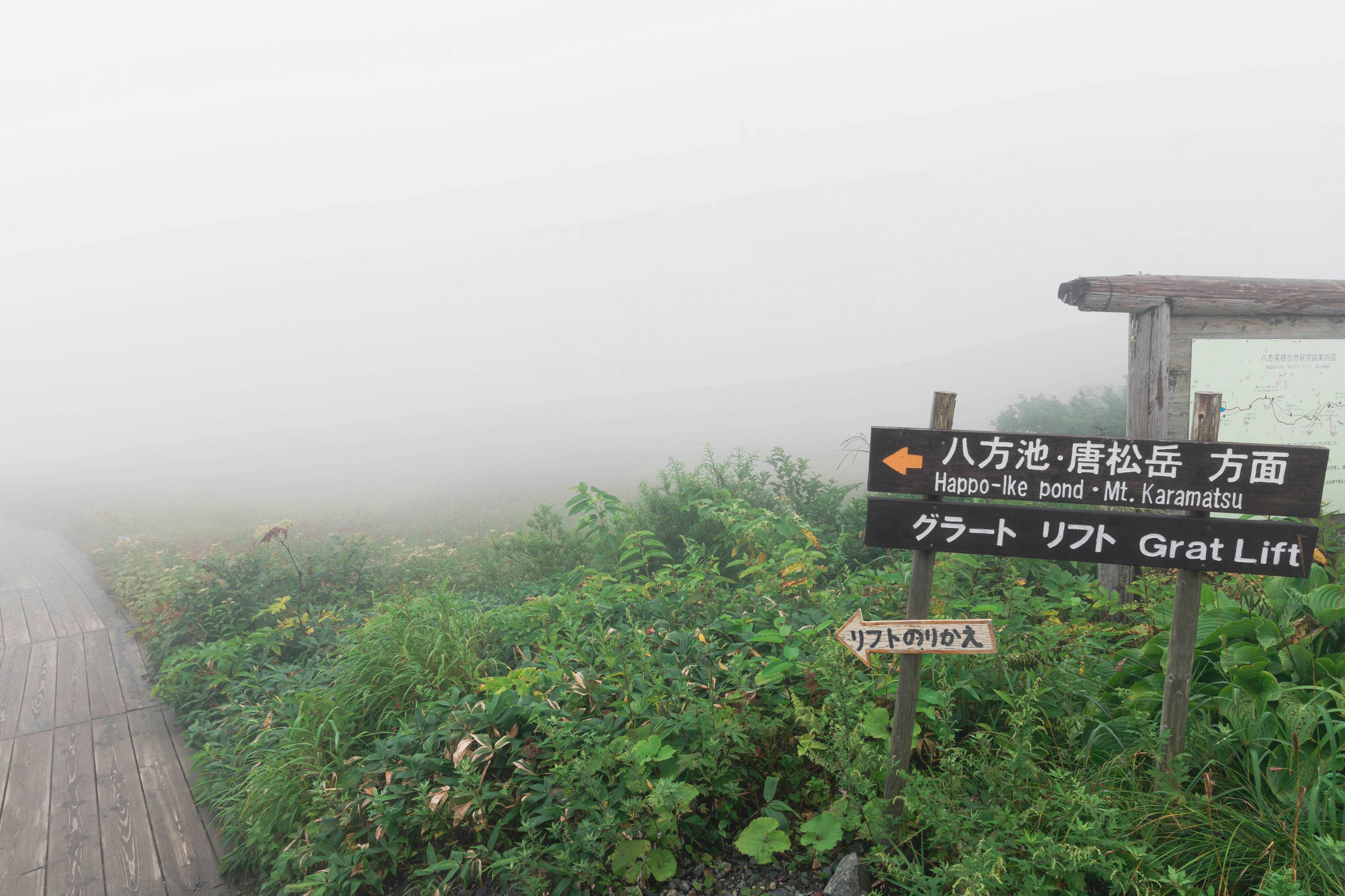 霧の中の登山道と案内標識