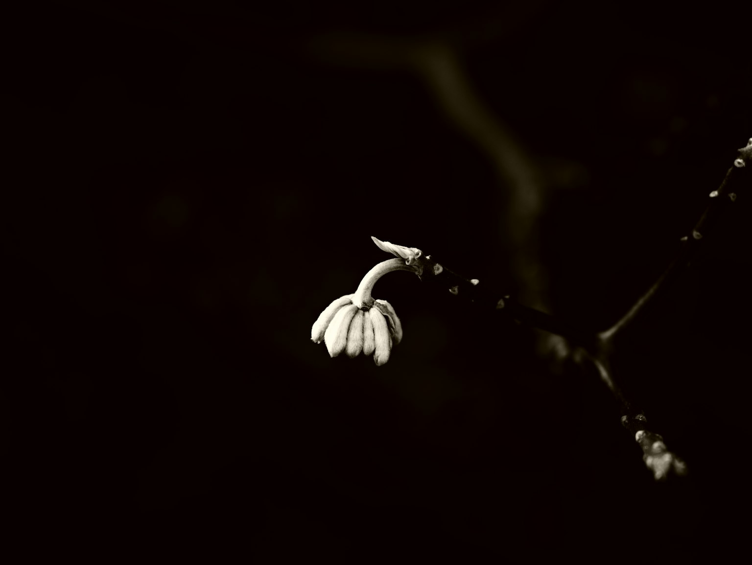photo-tBmkMwQPKQkhkgfdKdcZ-image