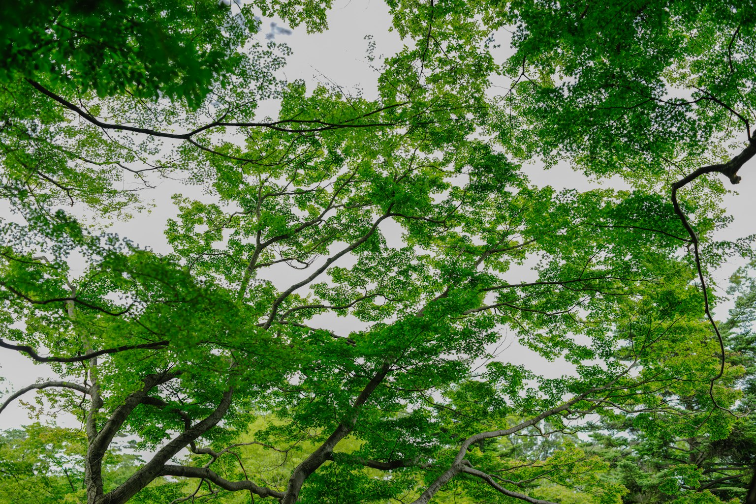 photo-tC3RoFPizC4hFUXF4N9t-image