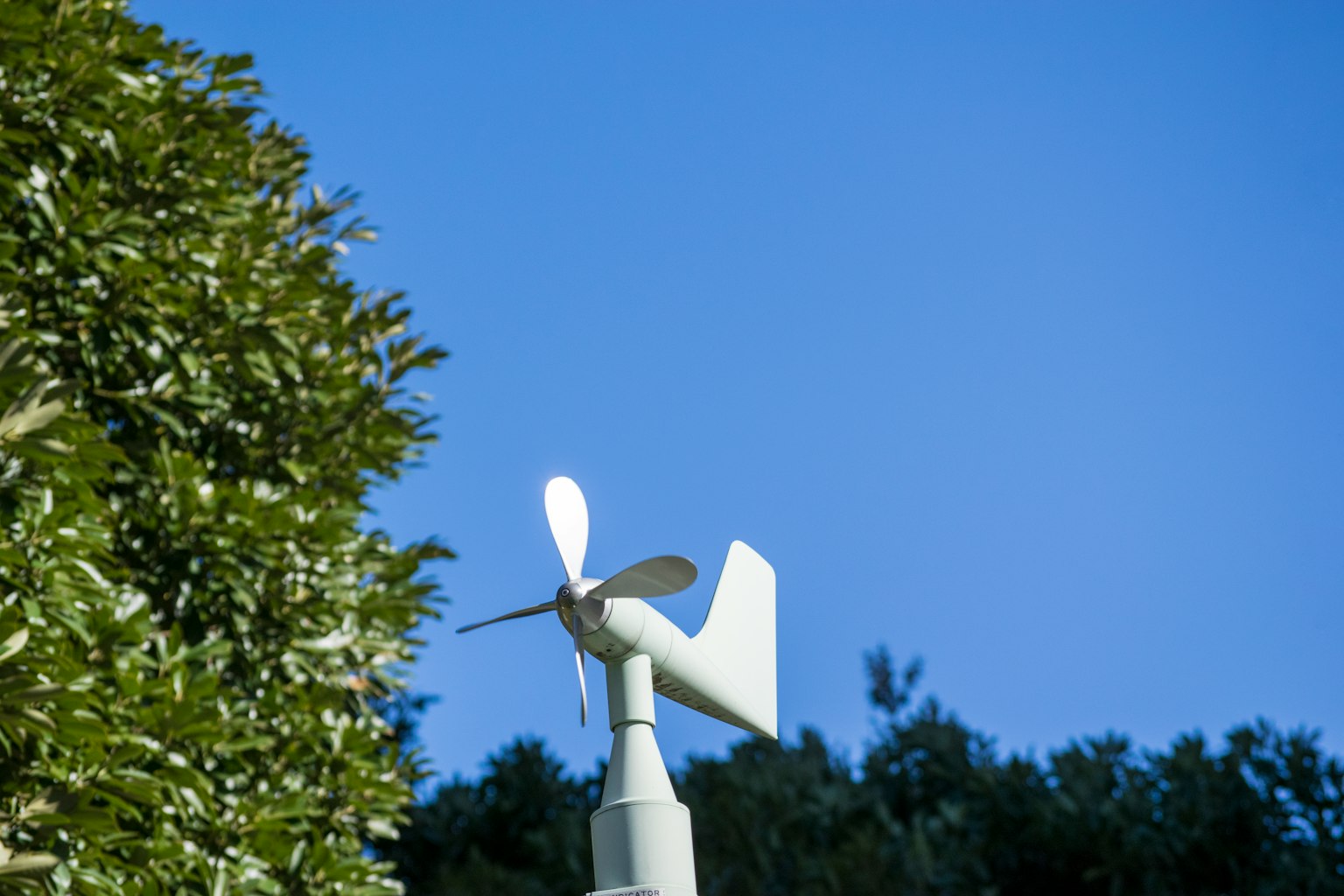 Un anémomètre à pales blanches contre un ciel bleu et un feuillage vert