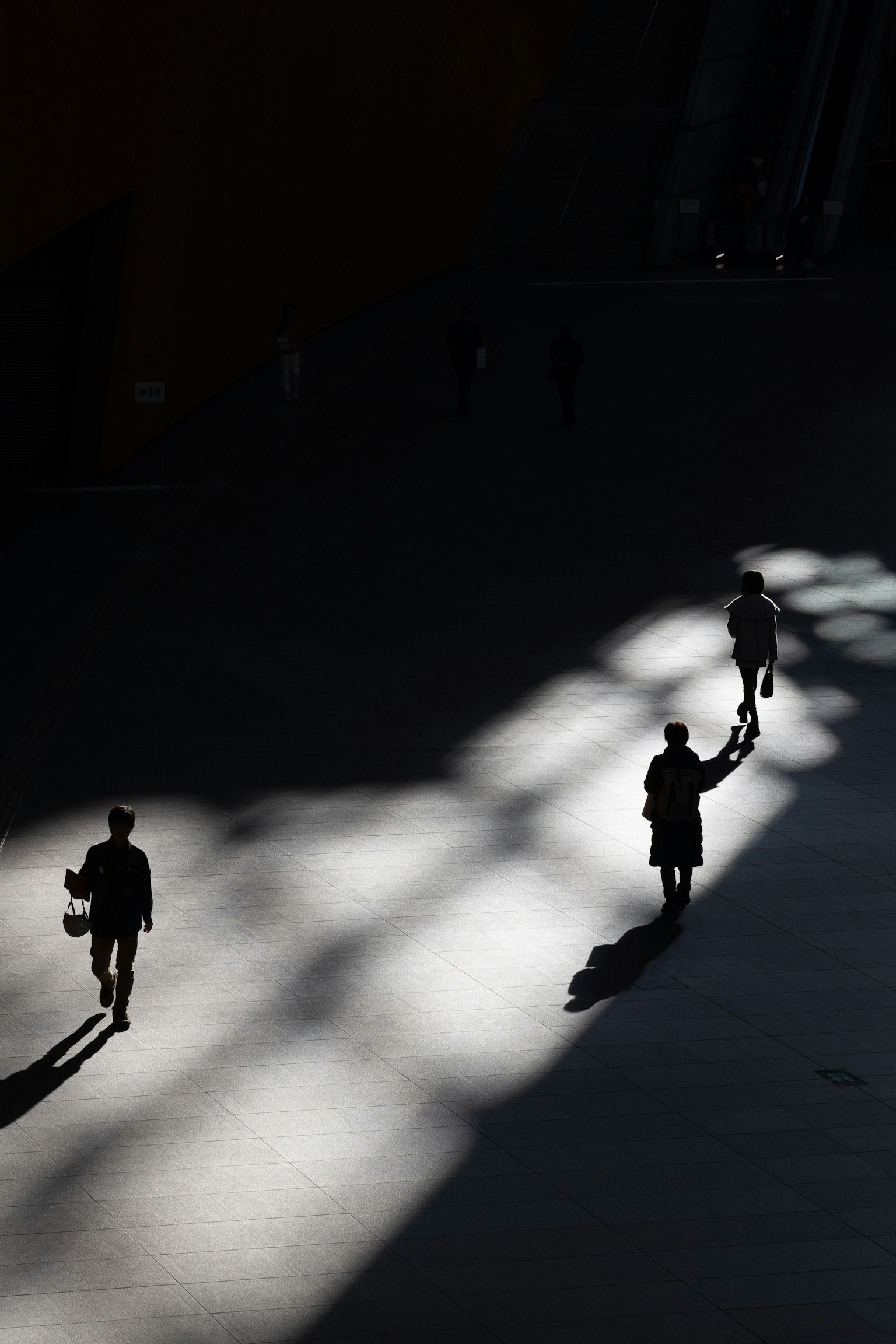 Siluetas de personas caminando en un espacio con contrastes de luz y sombra impactantes