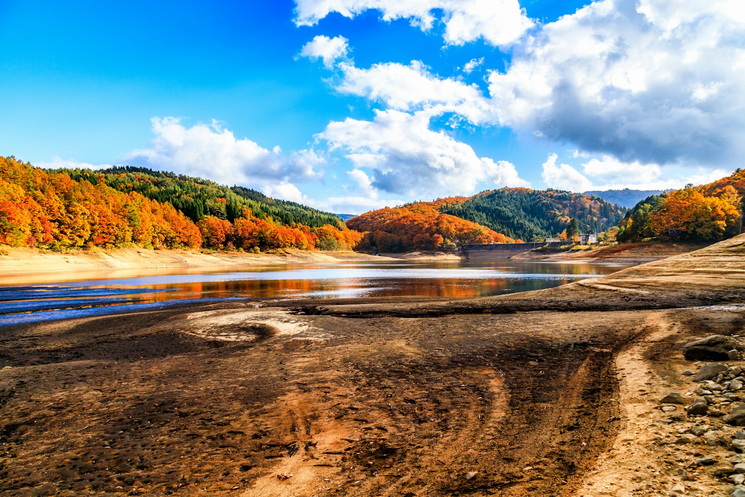 Paysage d'automne magnifique avec un lac et des arbres colorés