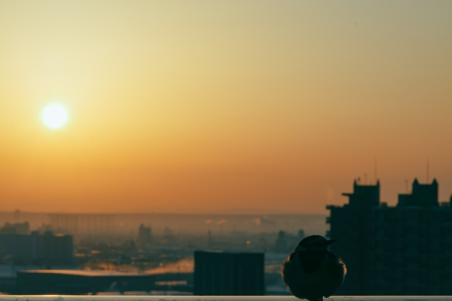 Silueta de una persona contra un atardecer y un horizonte urbano