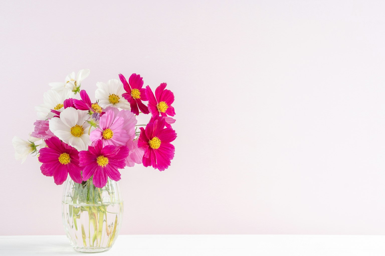 Eine transparente Vase mit rosa und weißen Blumen vor einem rosa Hintergrund